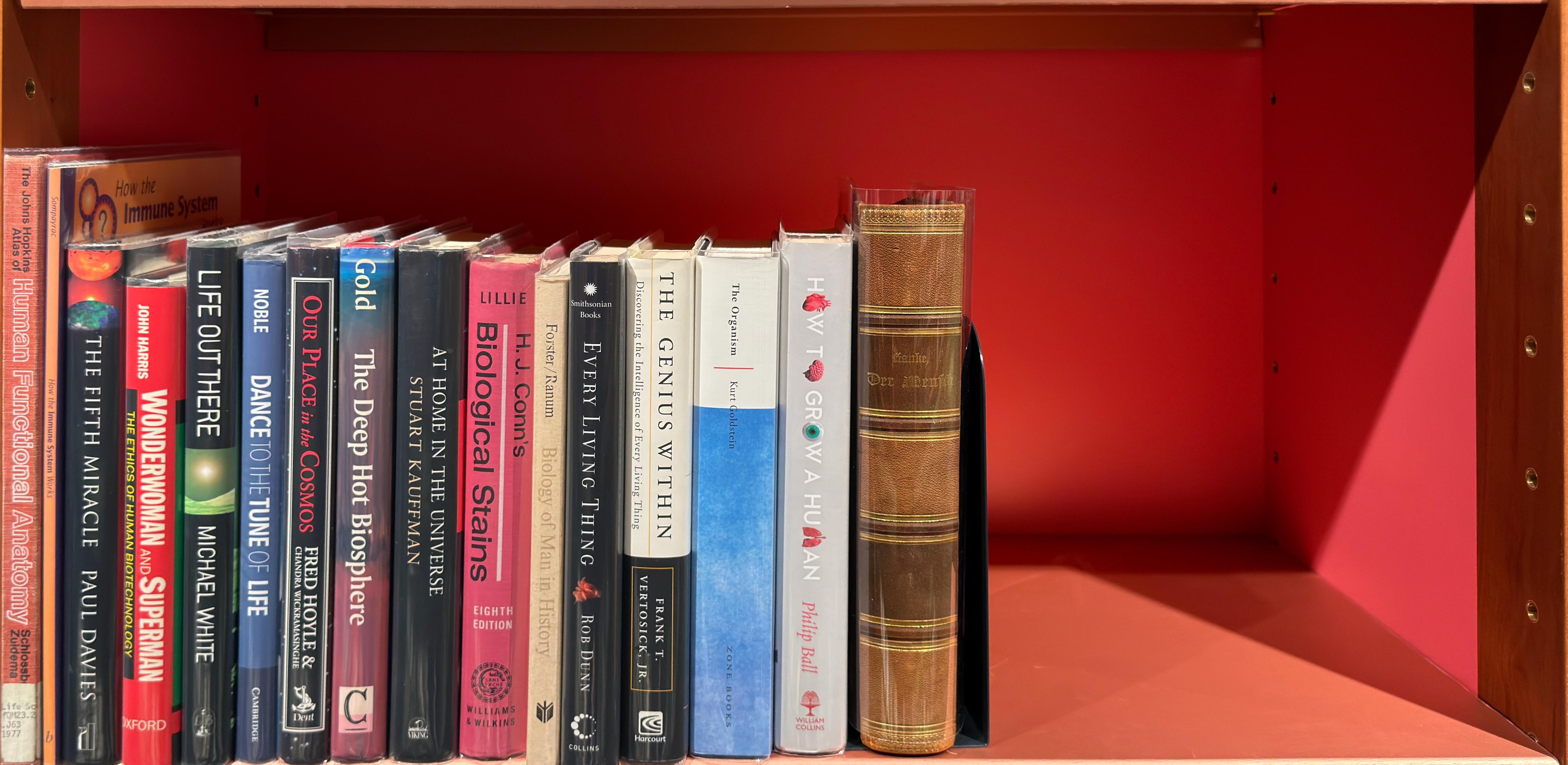 Shelf image