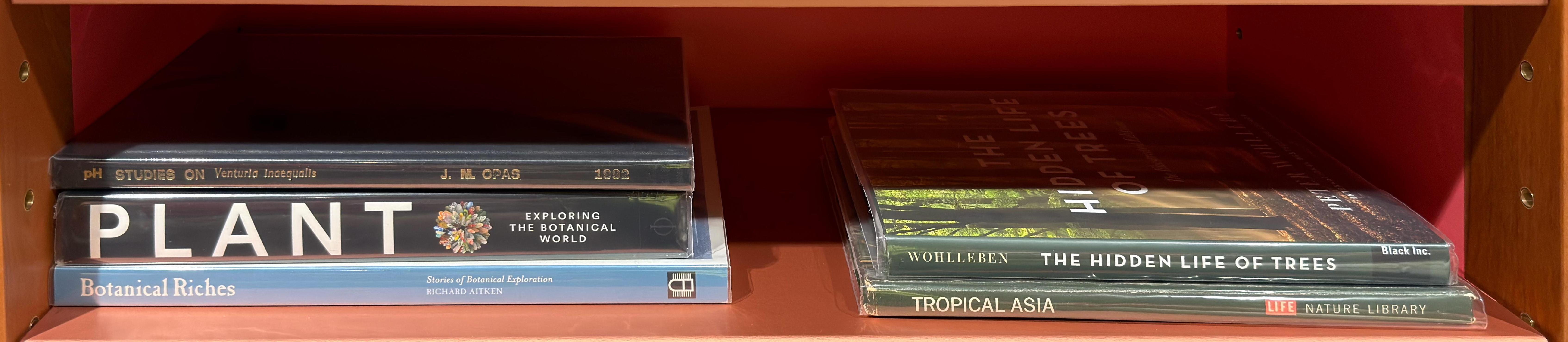Shelf image