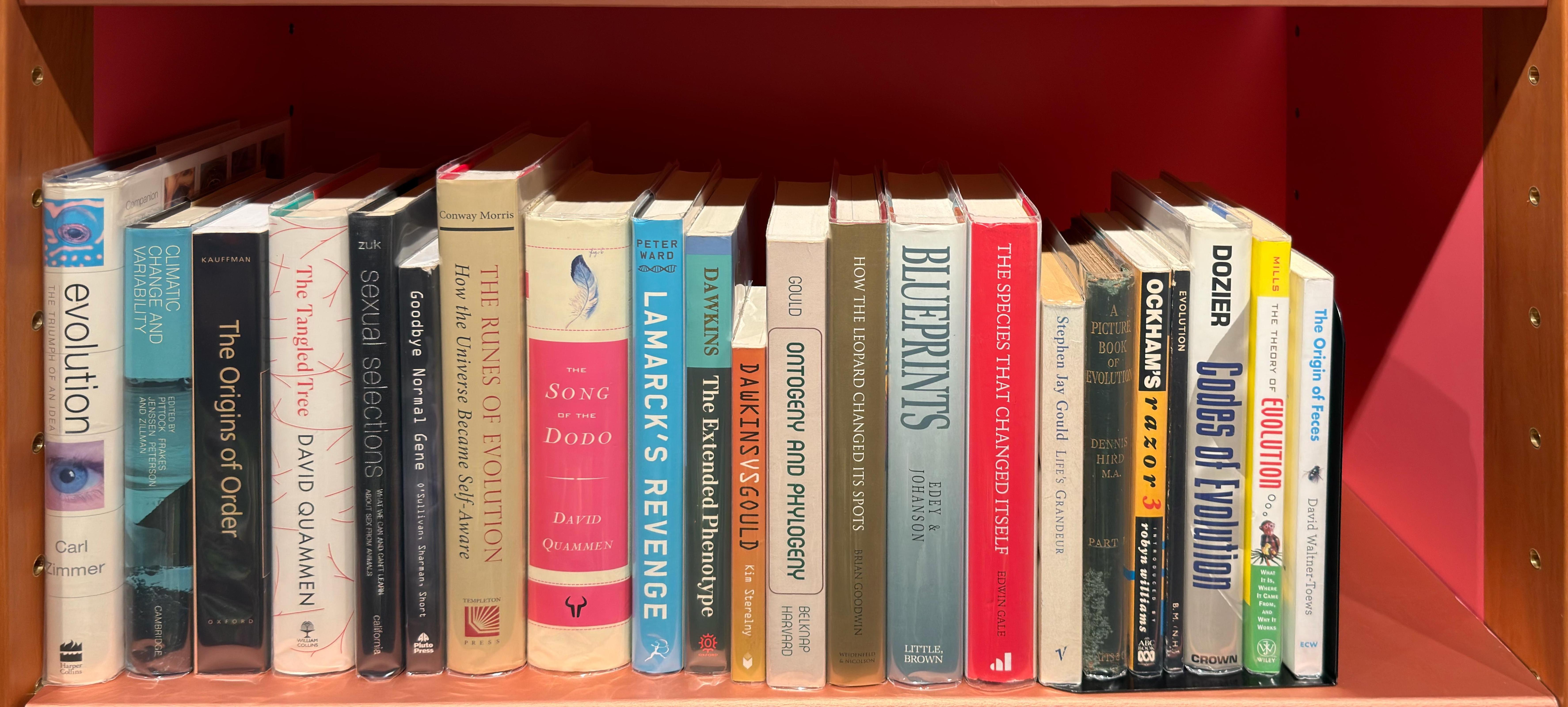 Shelf image