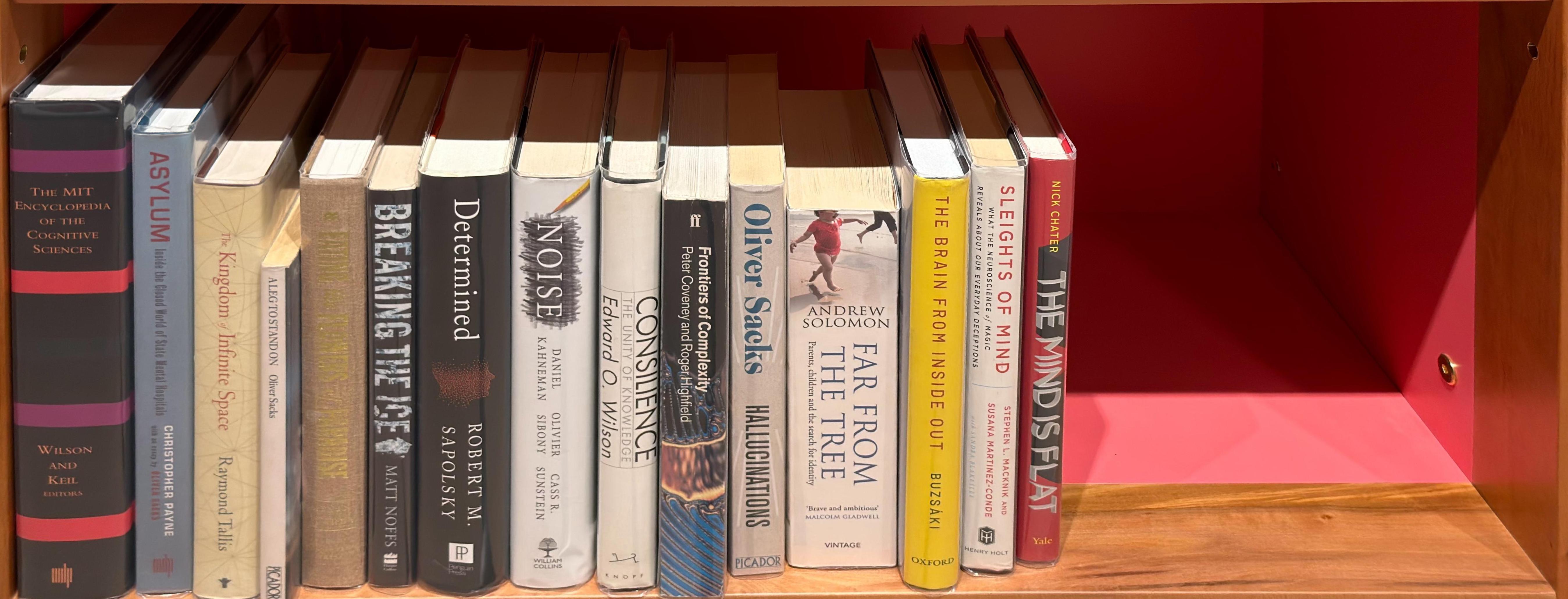 Shelf image