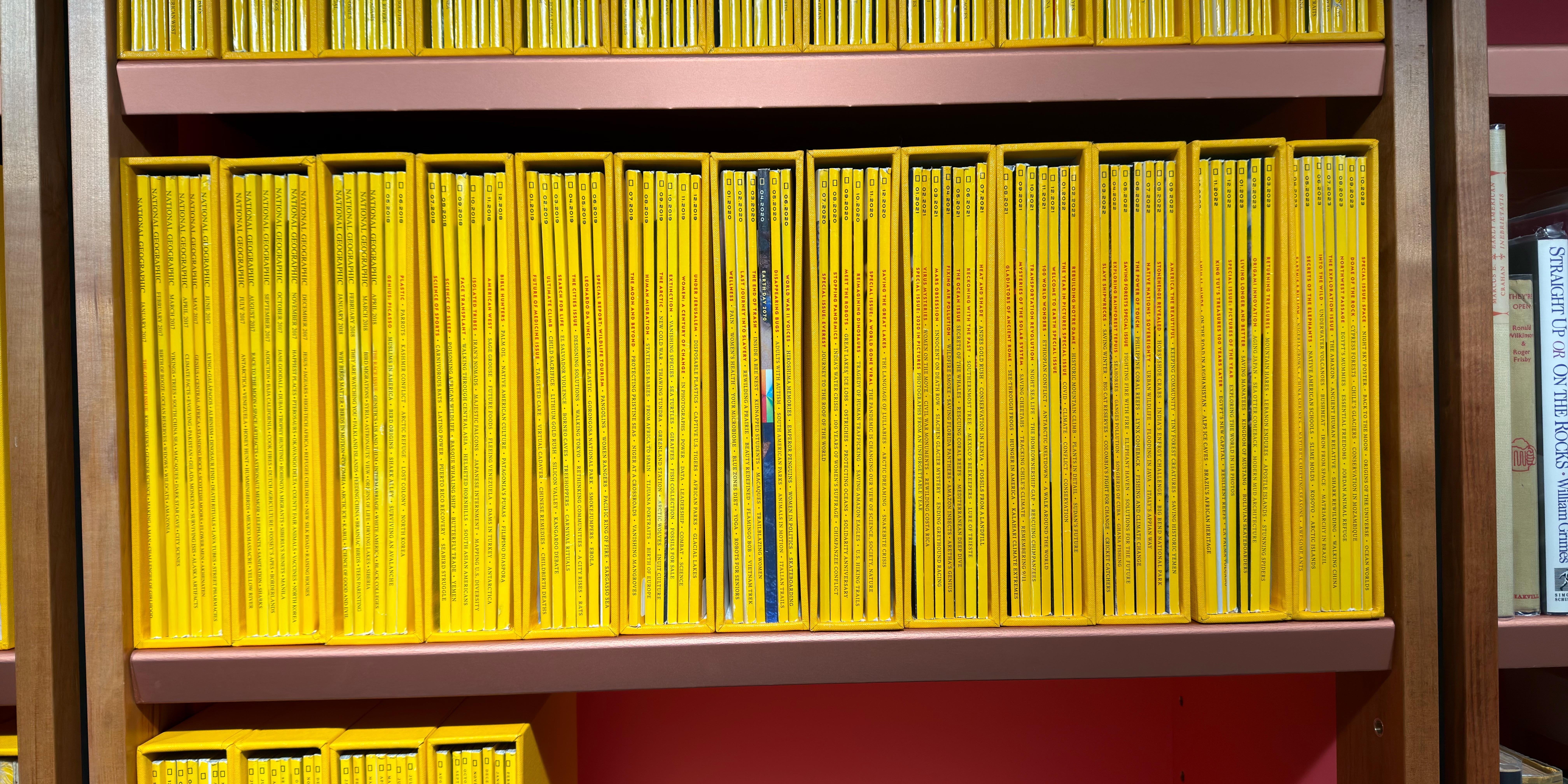 Shelf image