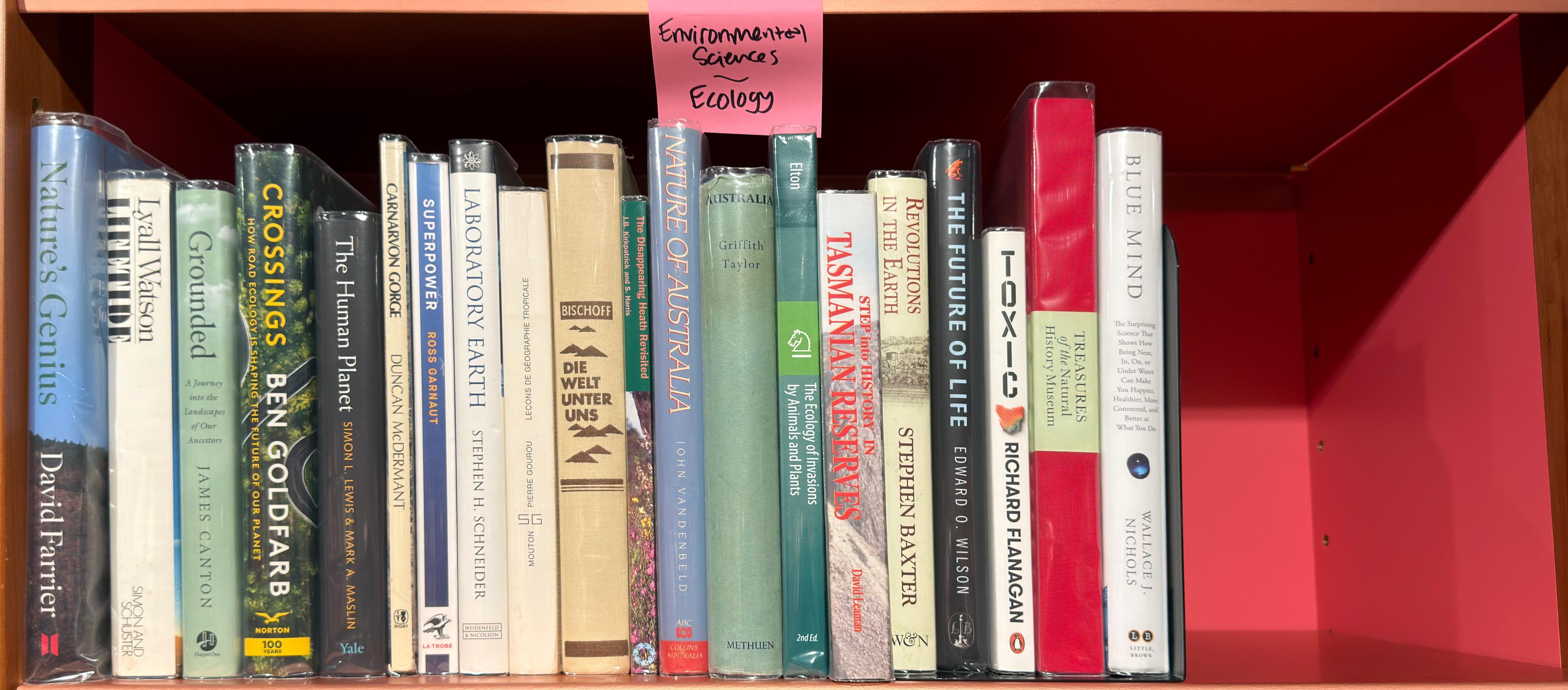 Shelf image