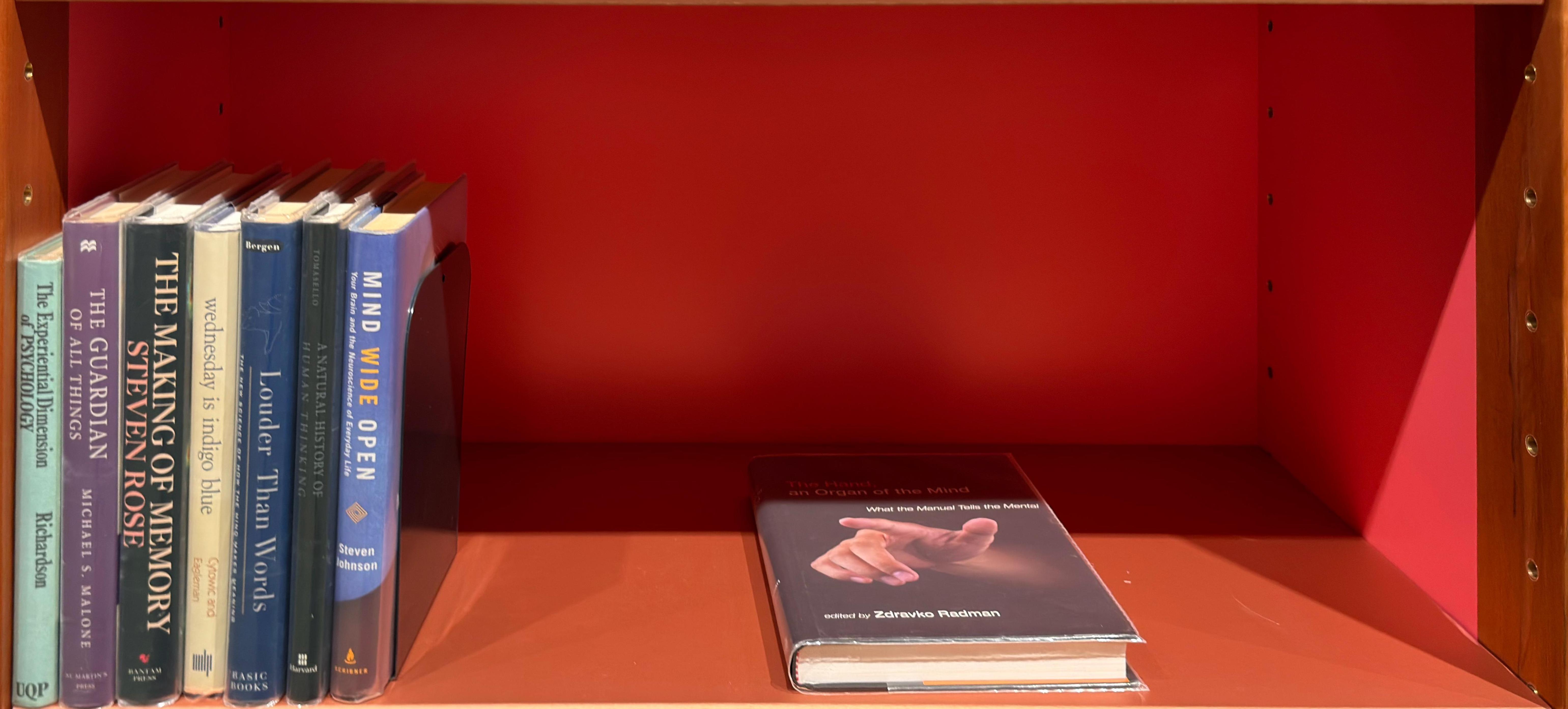 Shelf image