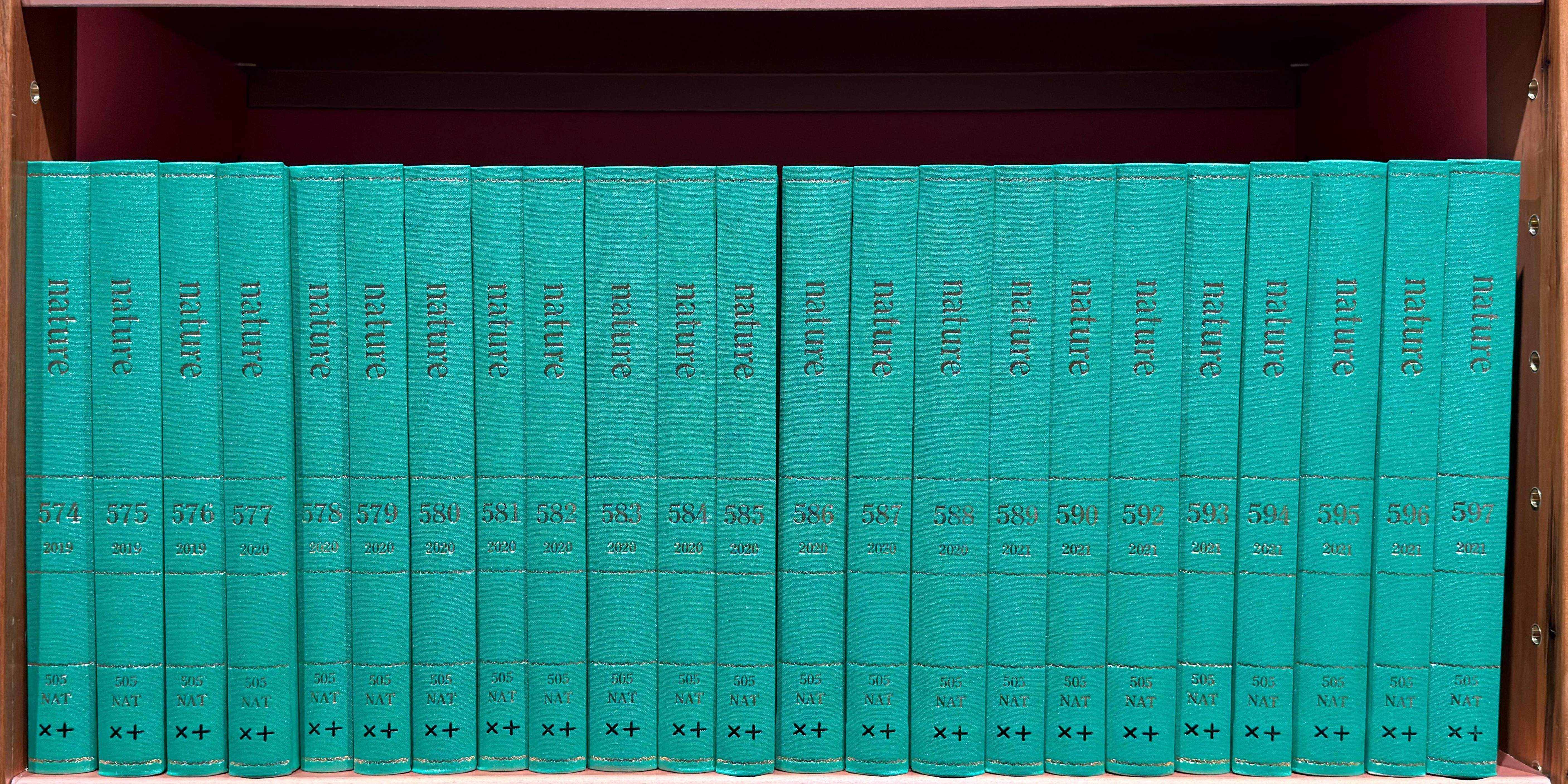 Shelf image