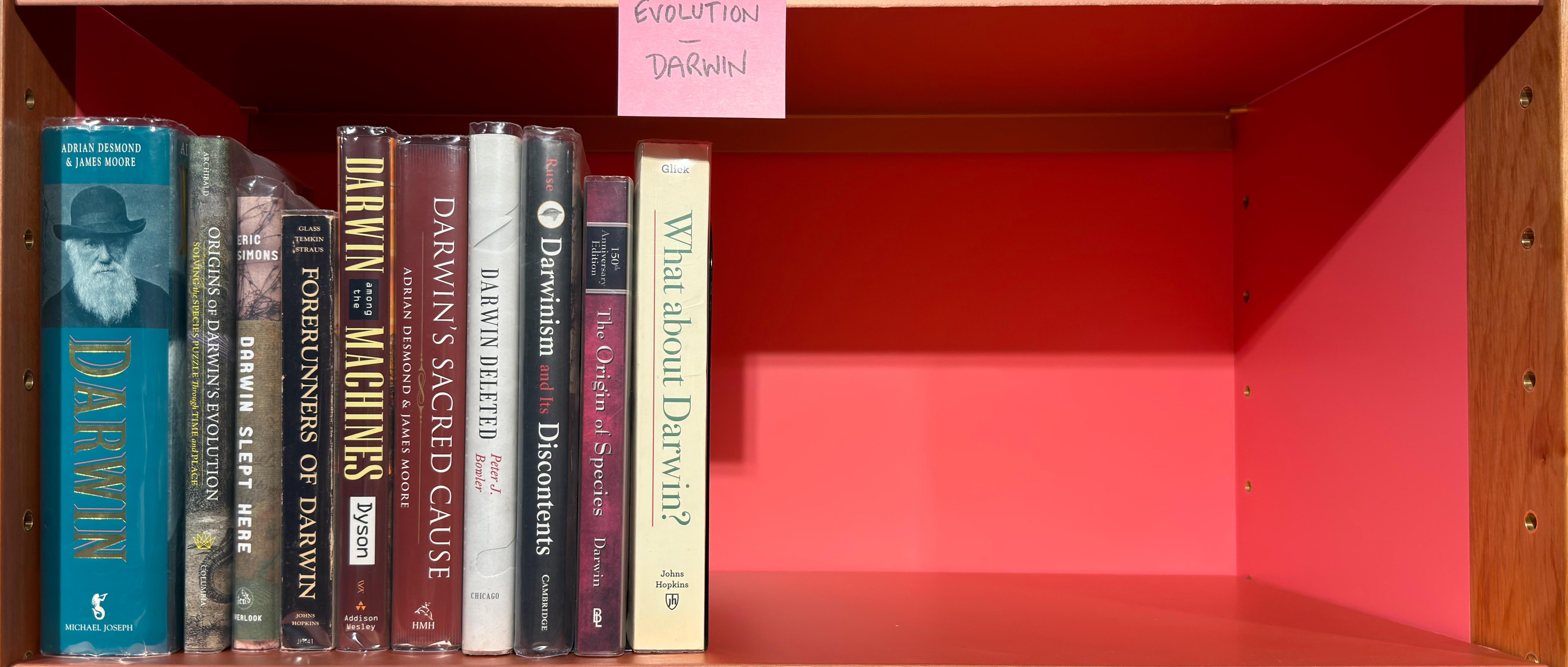 Shelf image