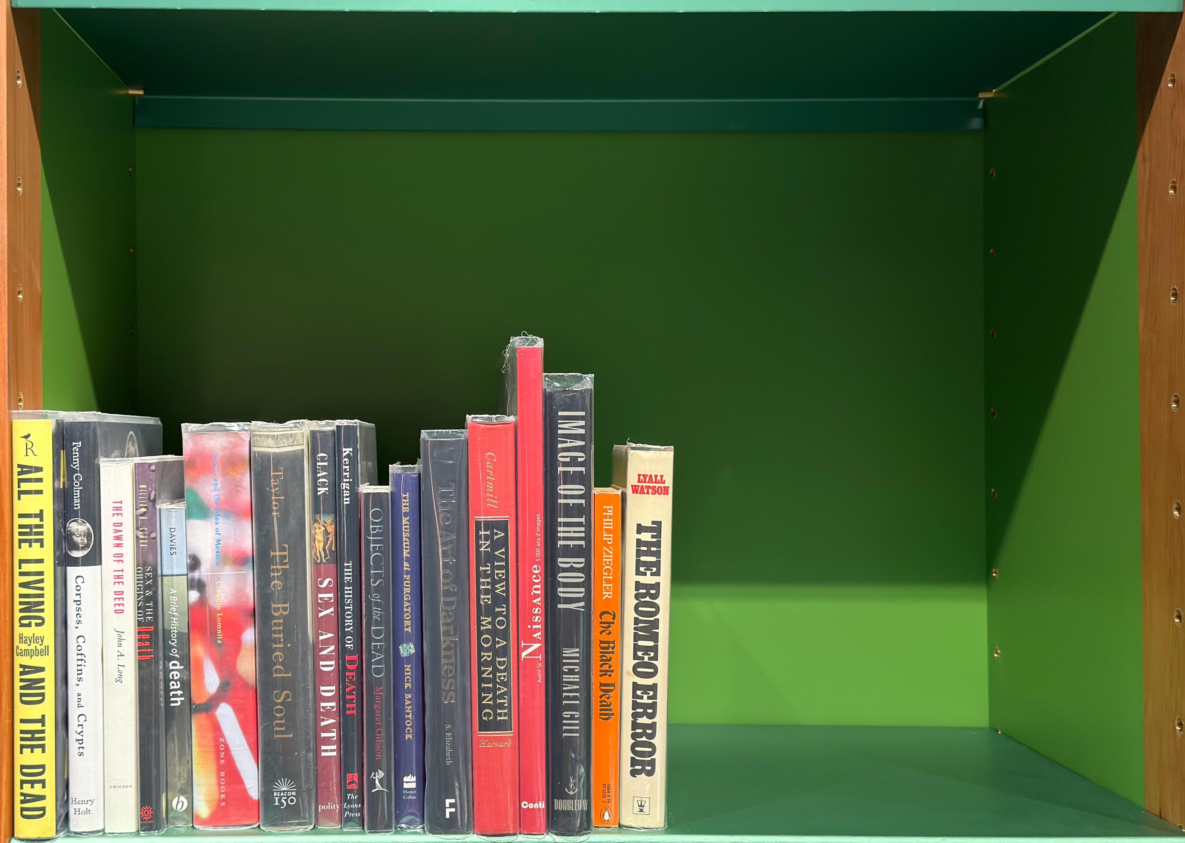 Shelf image