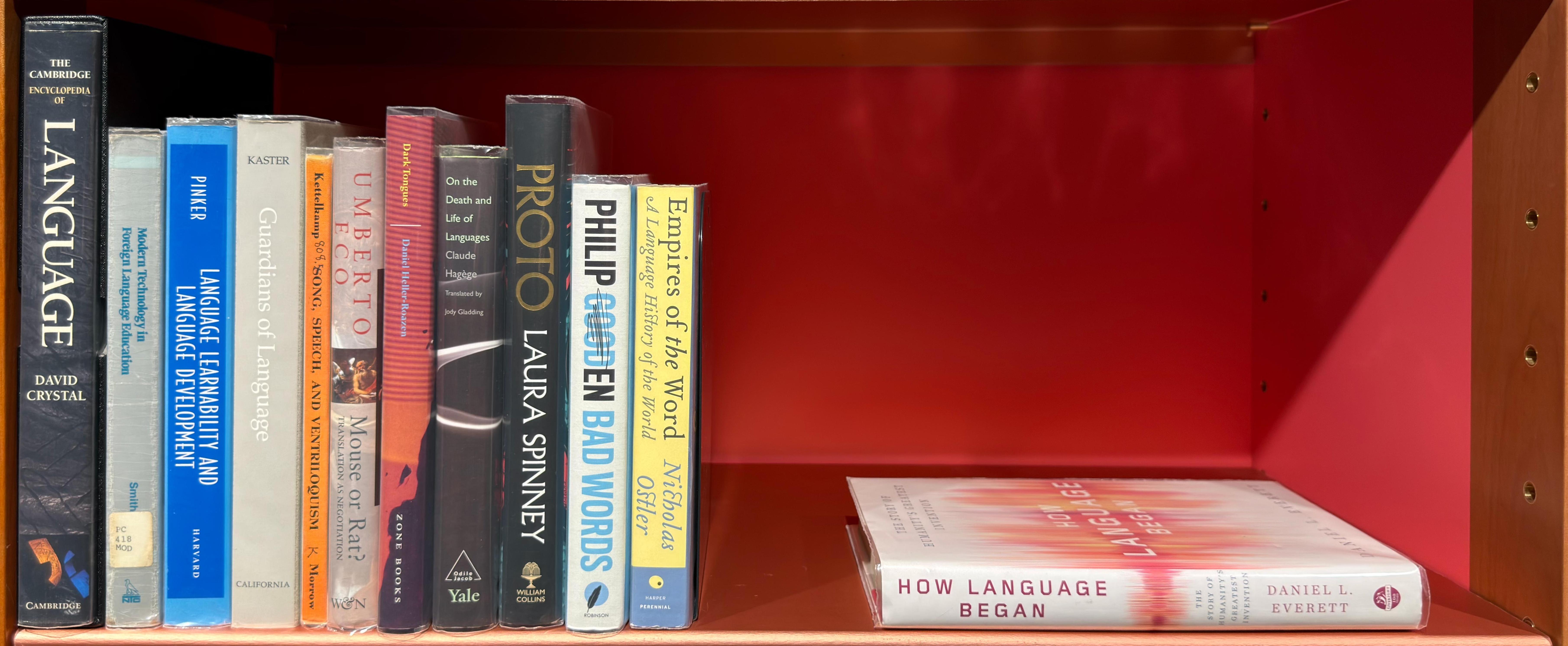 Shelf image