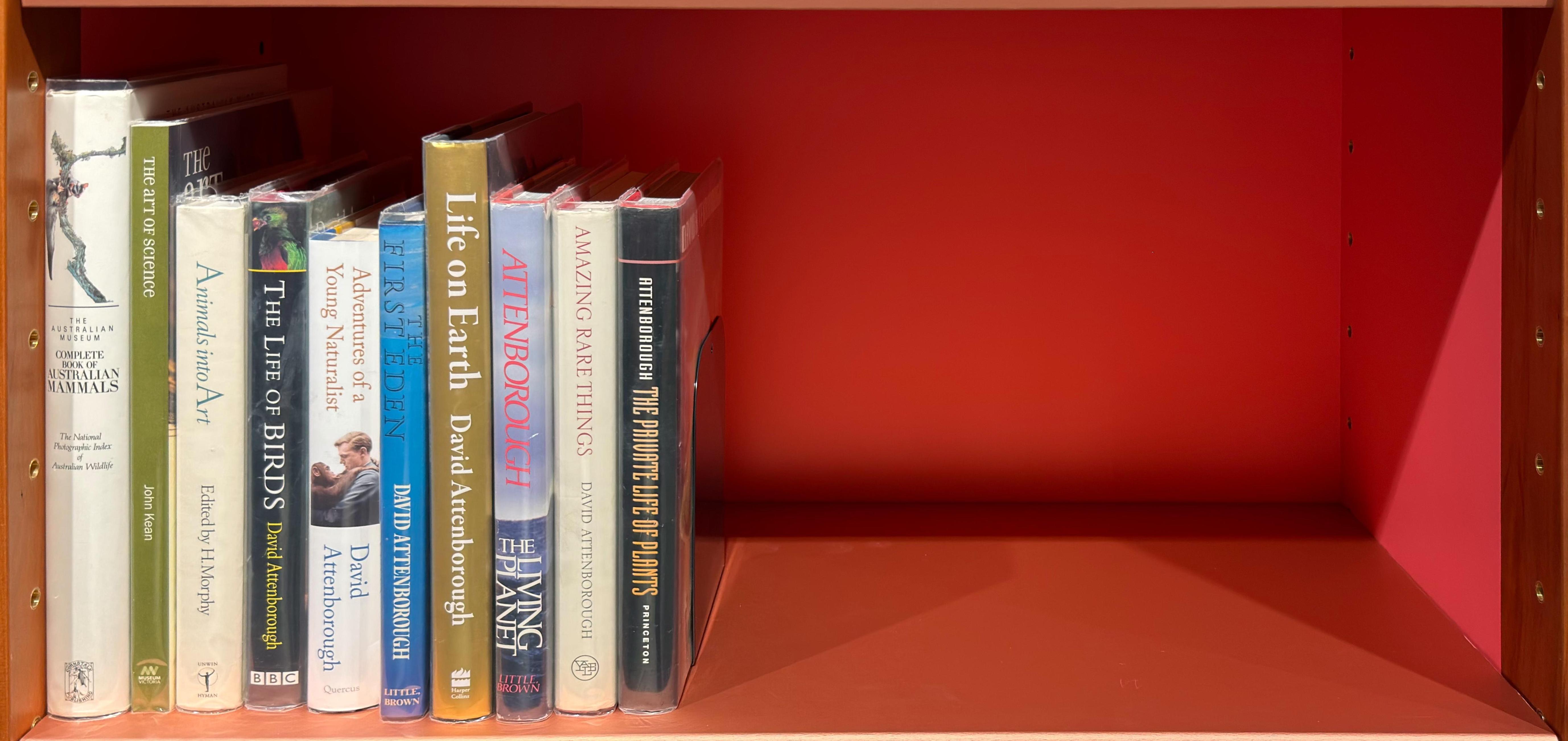 Shelf image