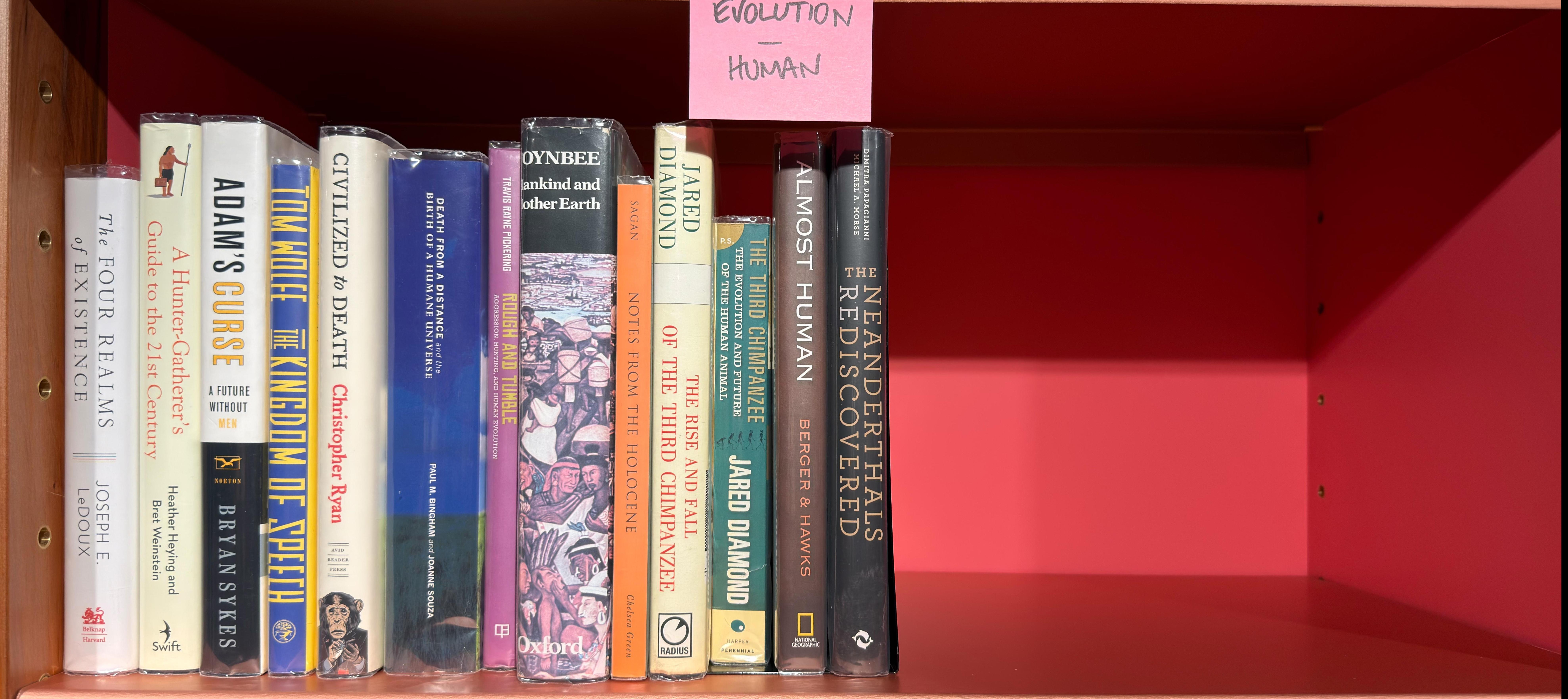 Shelf image