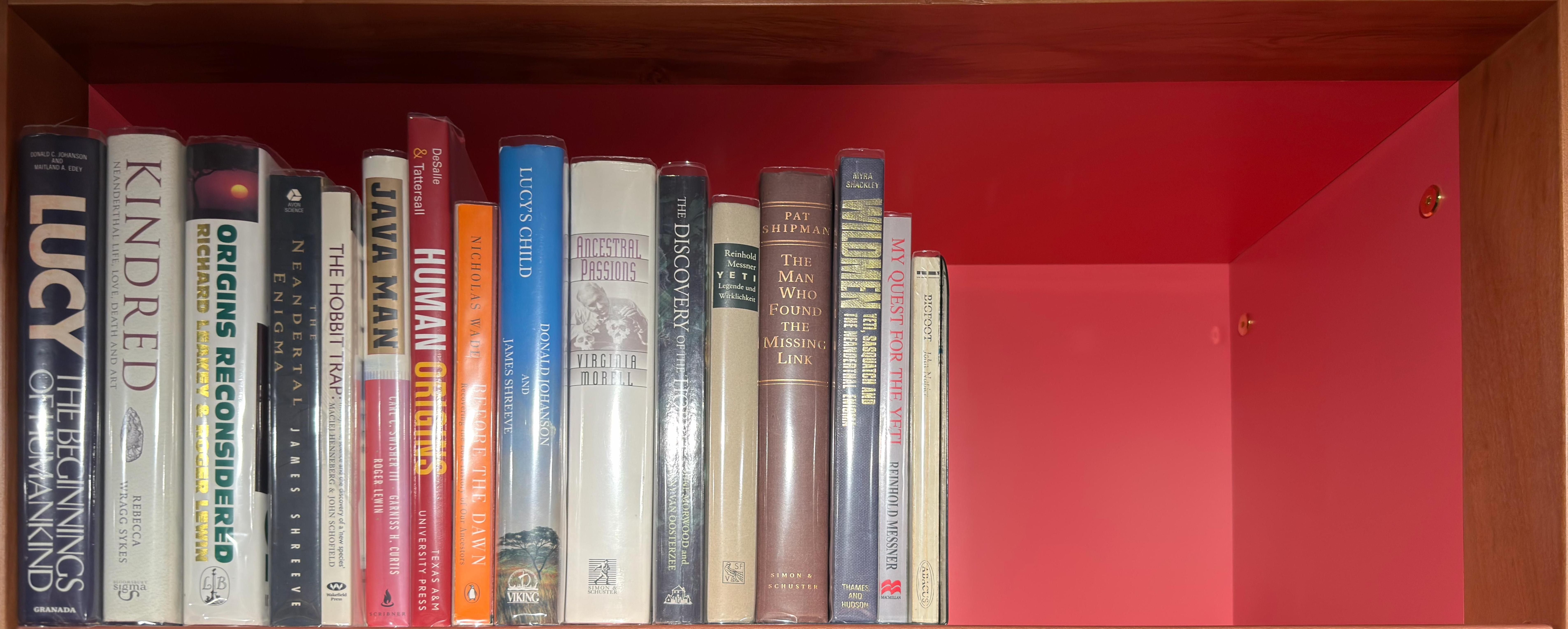 Shelf image