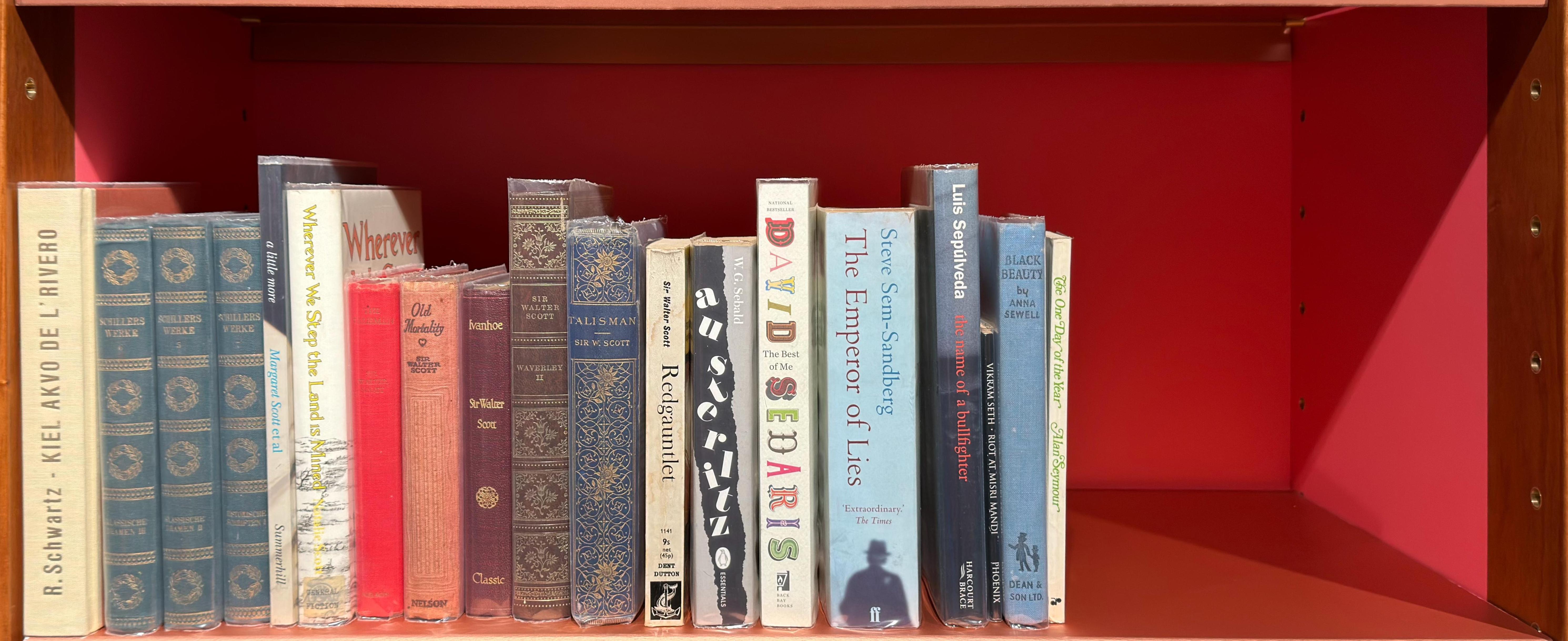 Shelf image