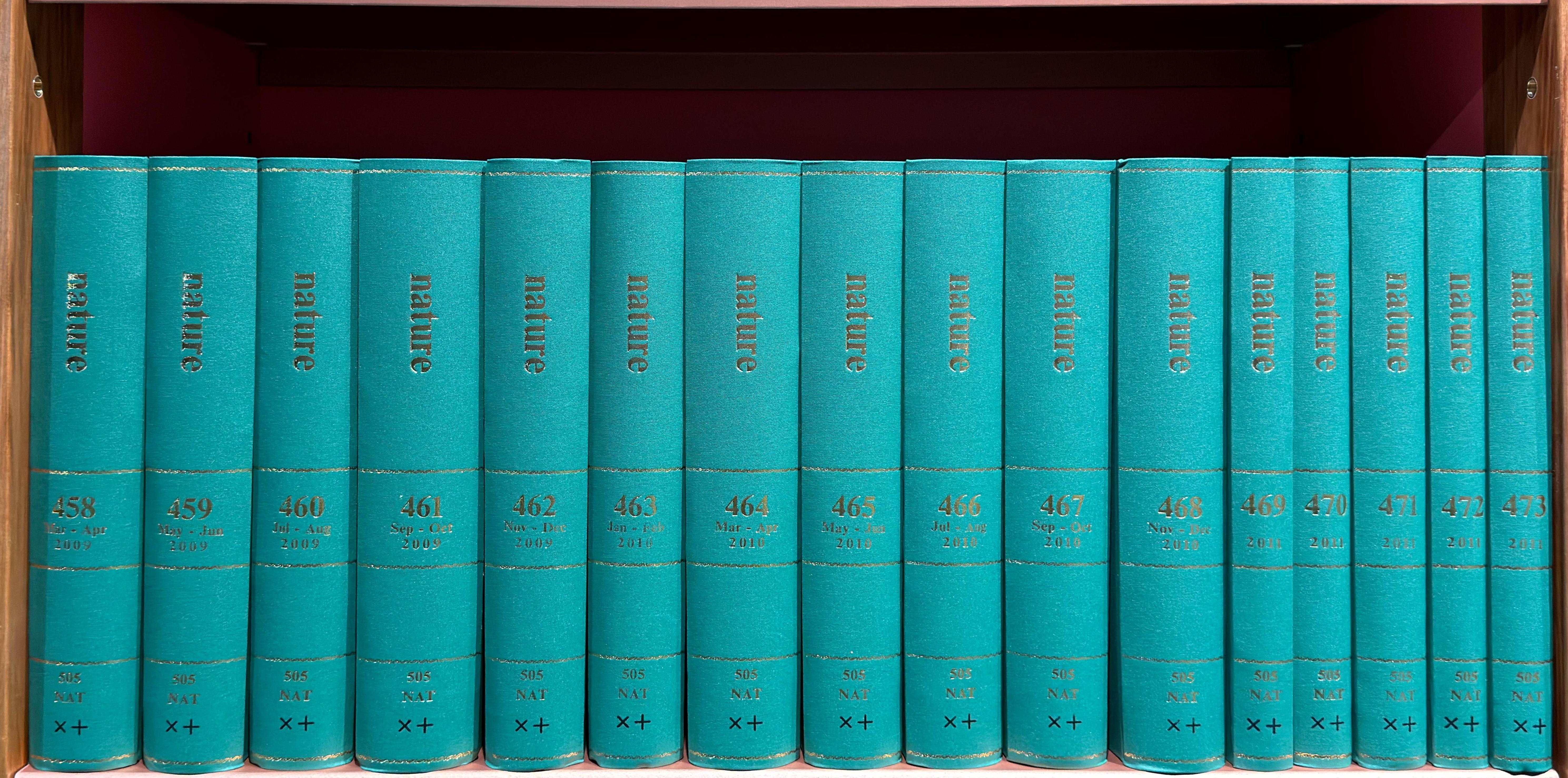 Shelf image