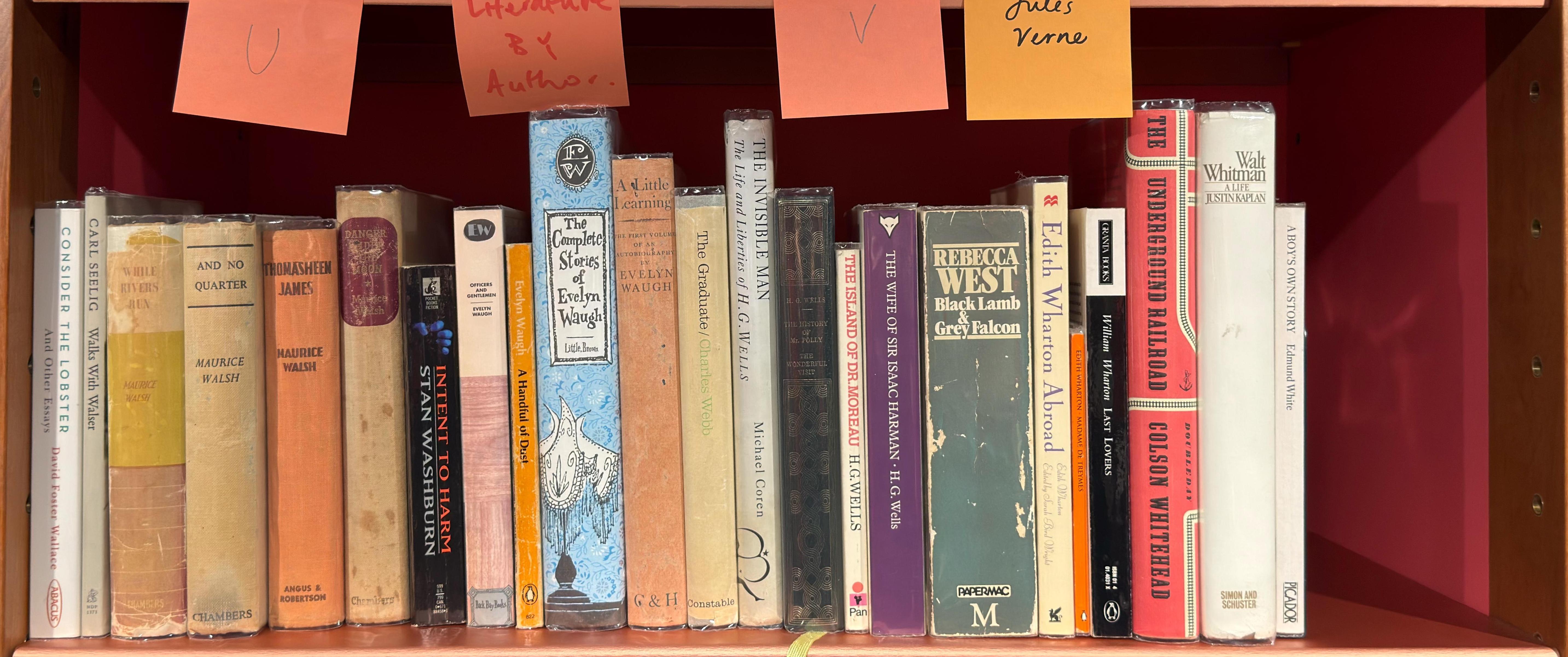 Shelf image