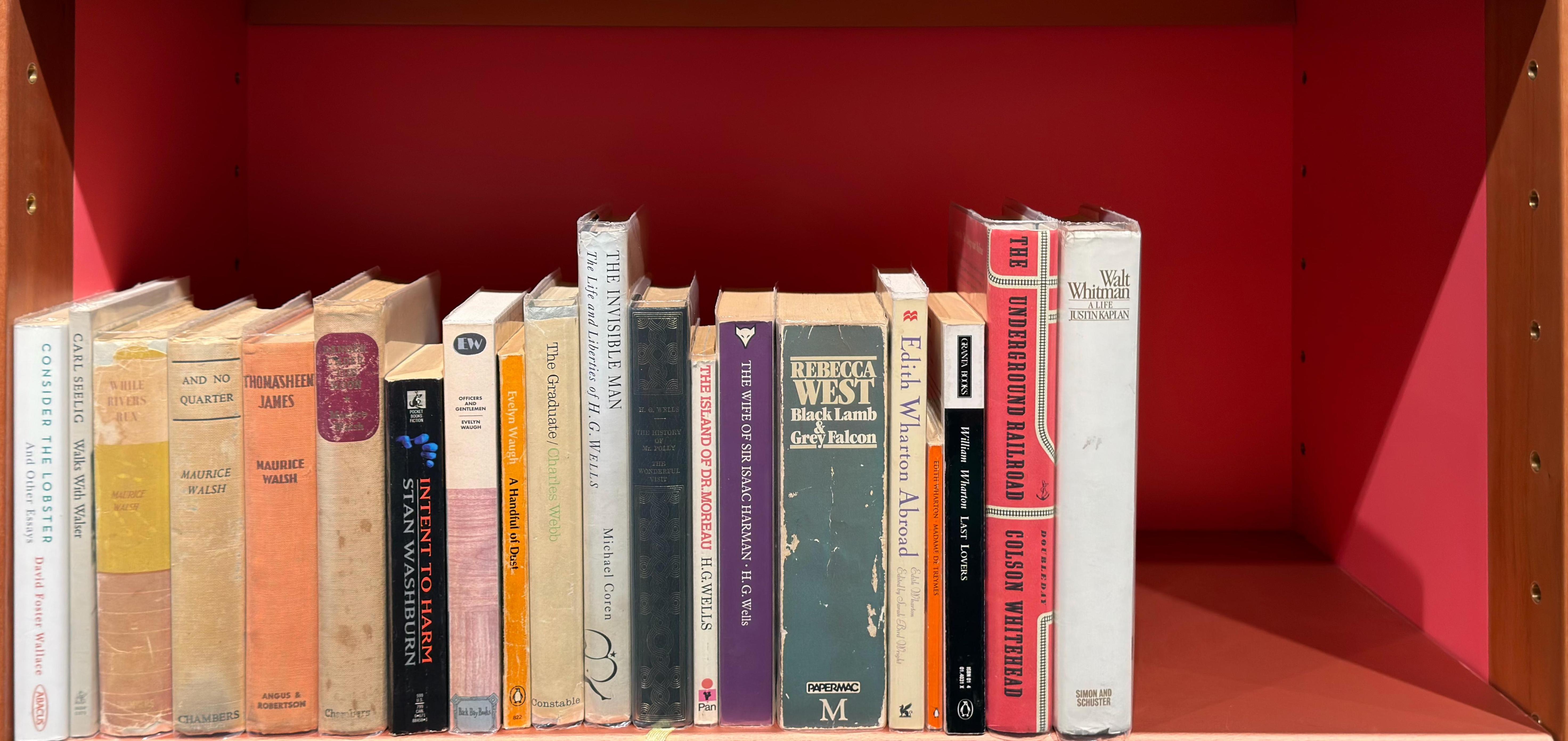 Shelf image