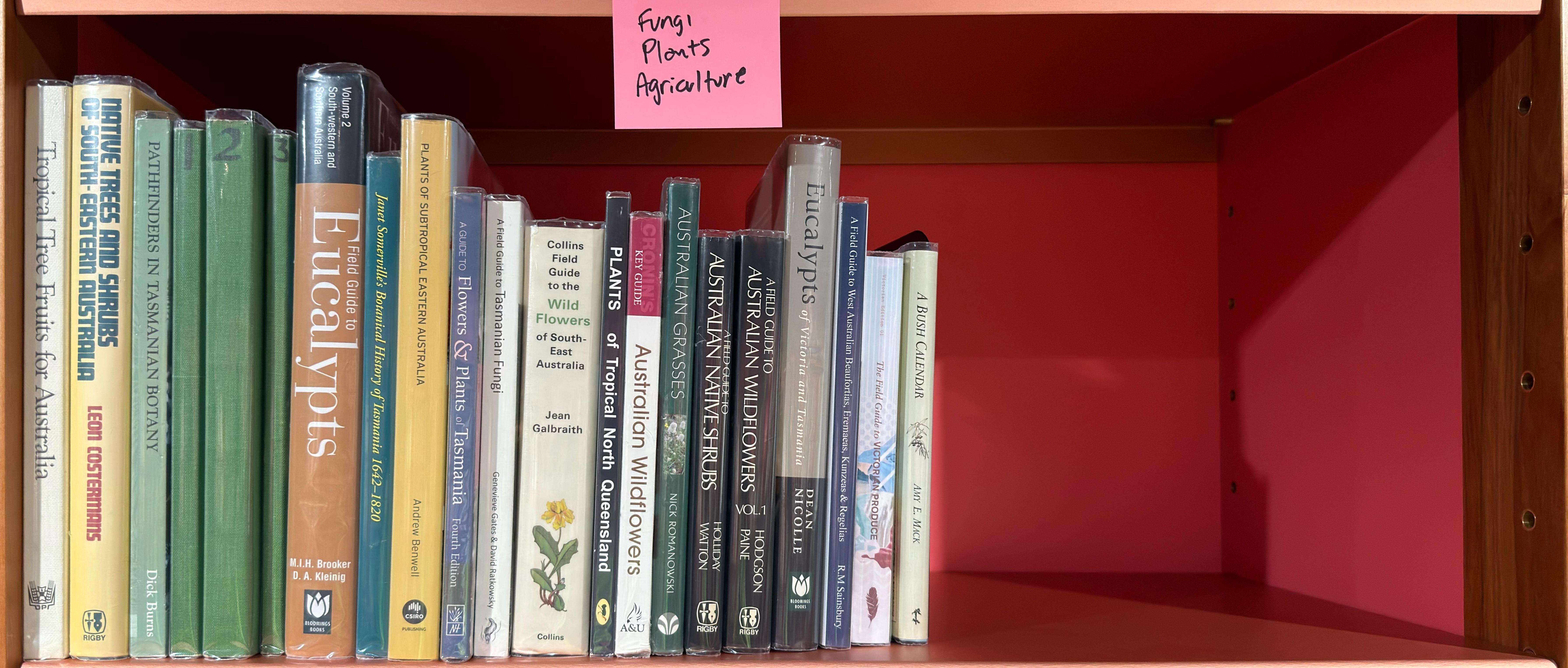 Shelf image