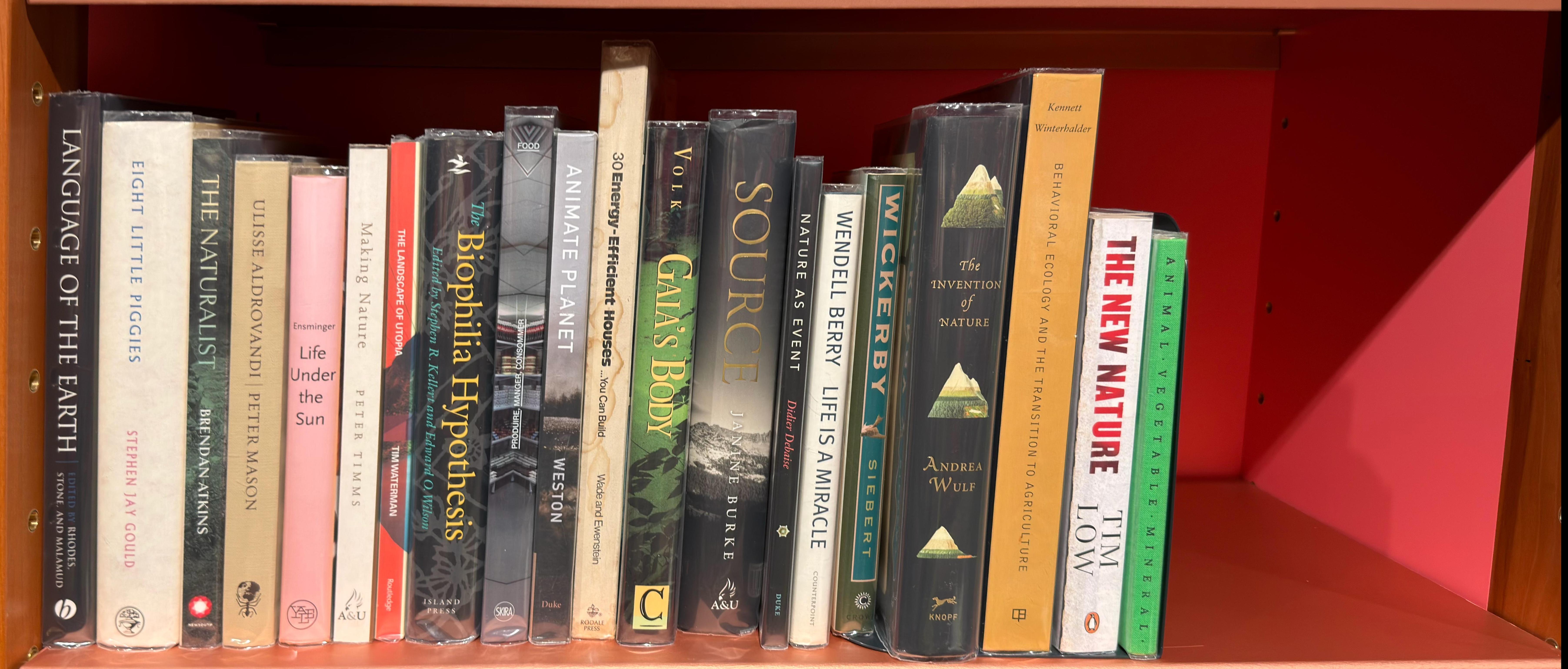 Shelf image