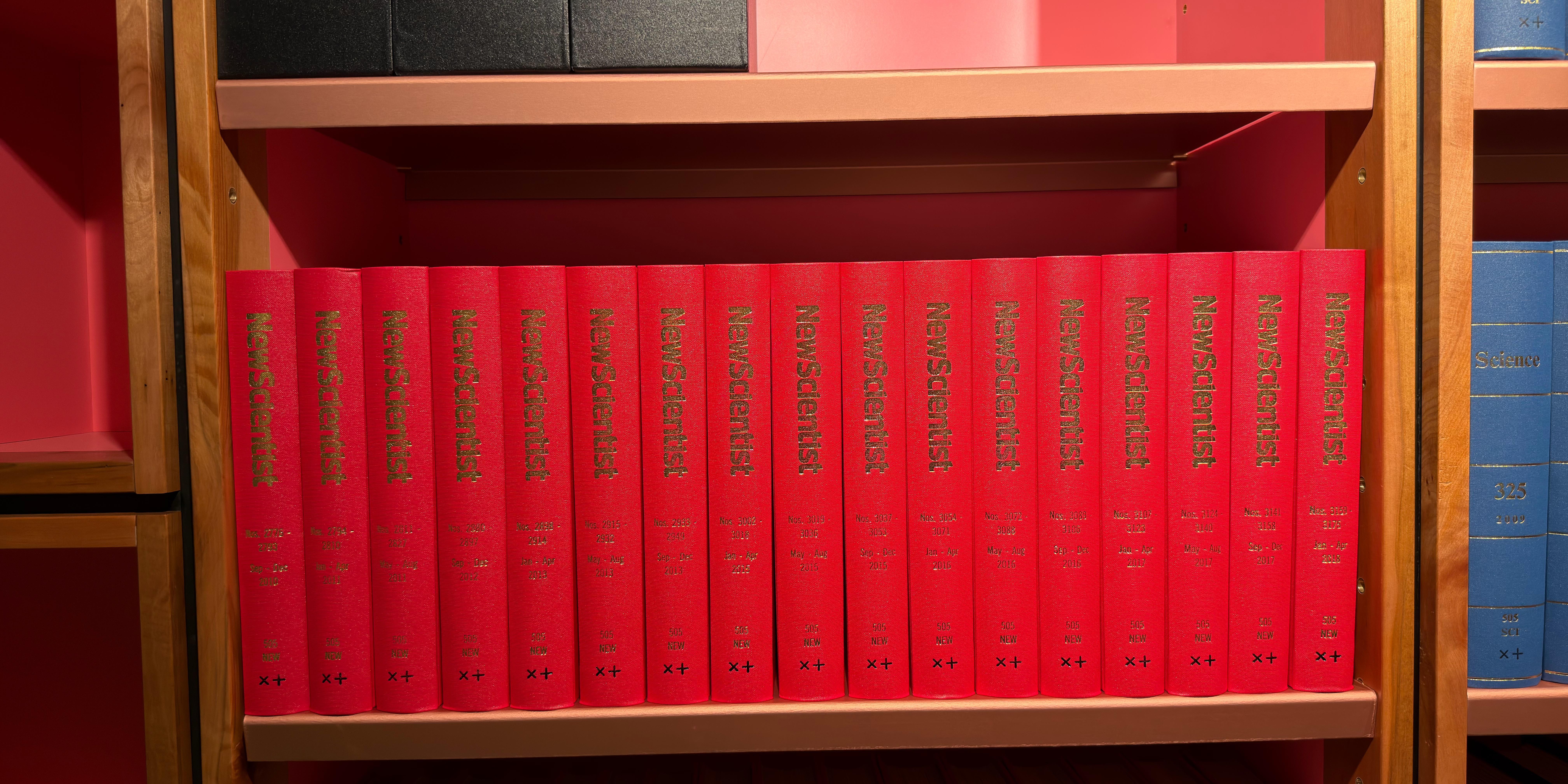 Shelf image