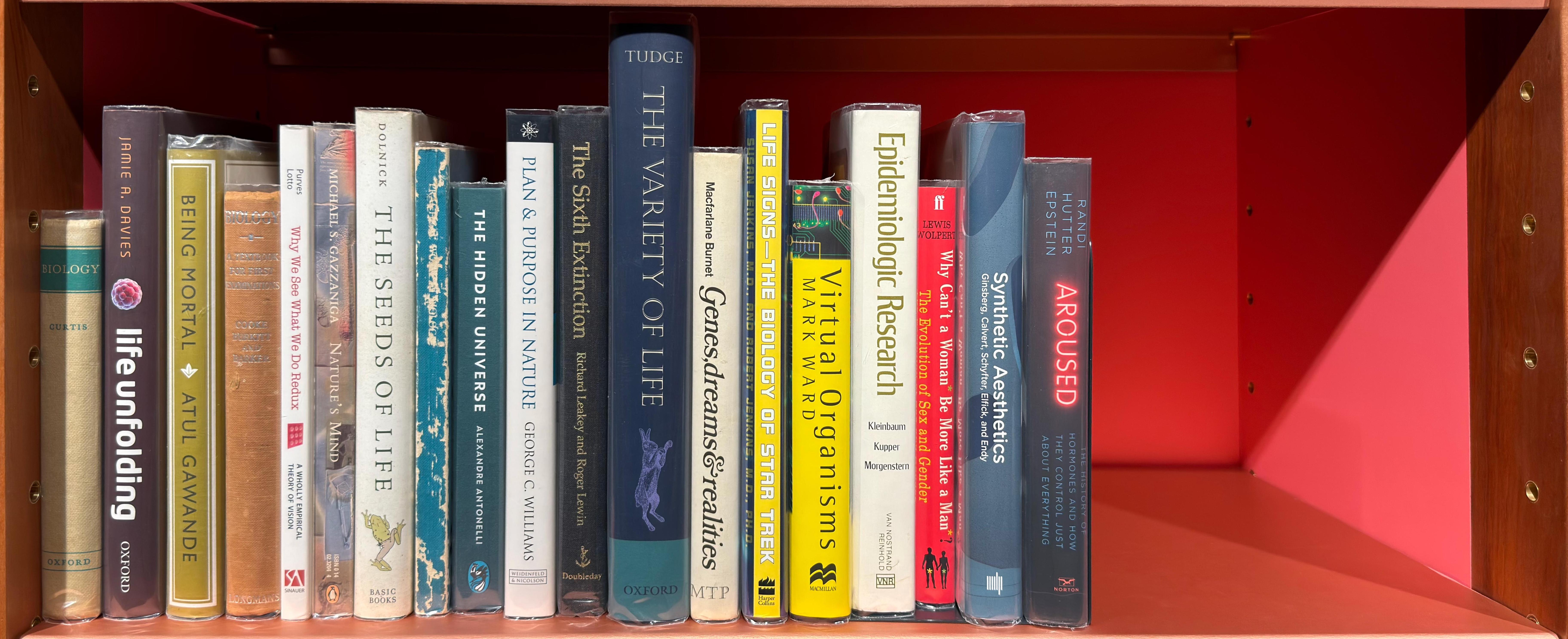 Shelf image