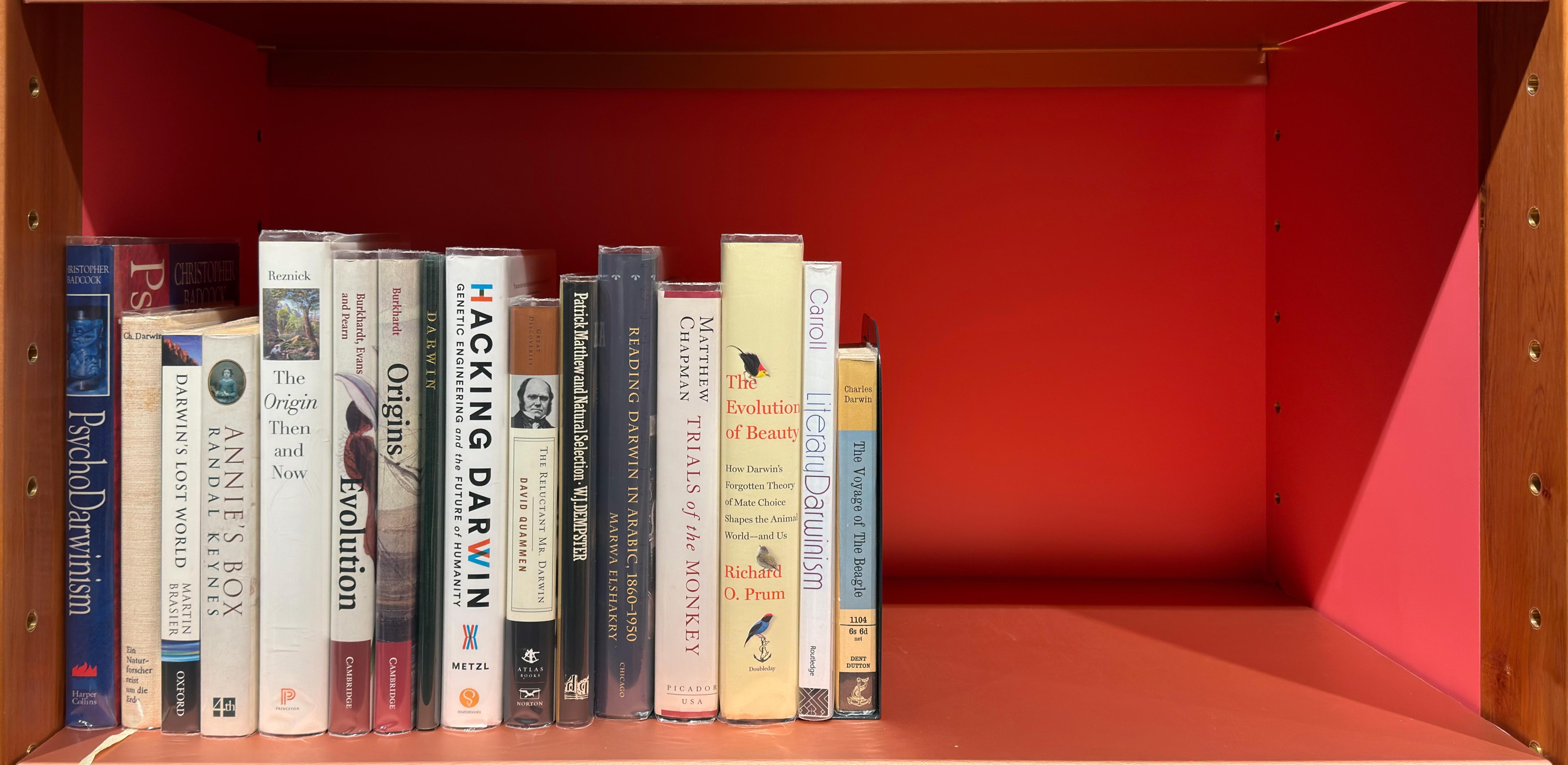 Shelf image