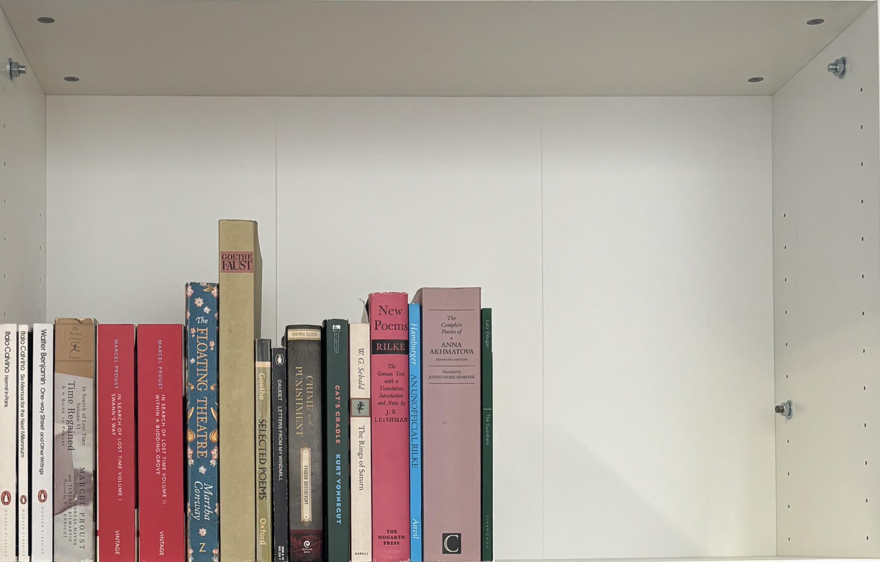 Shelf image