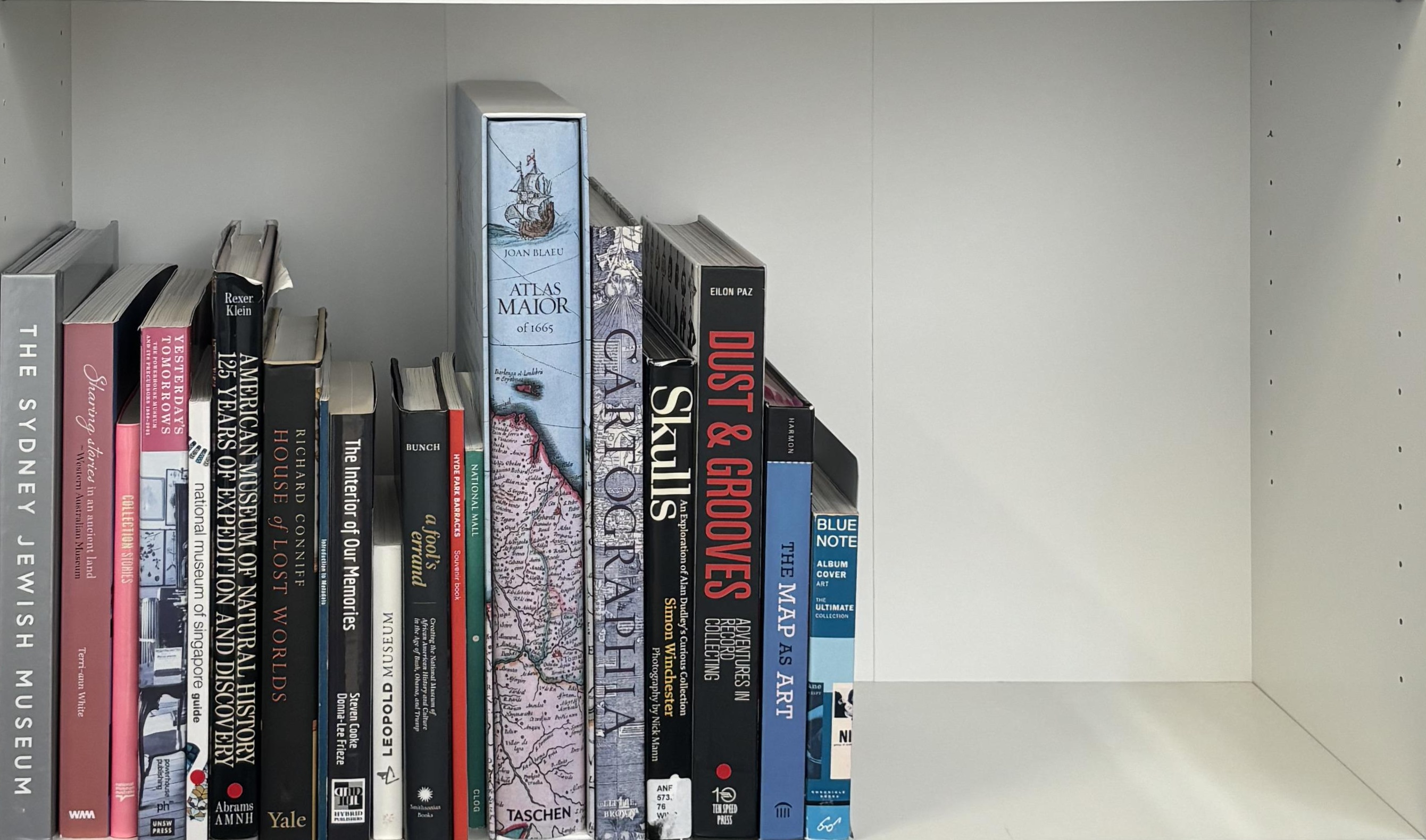 Shelf image