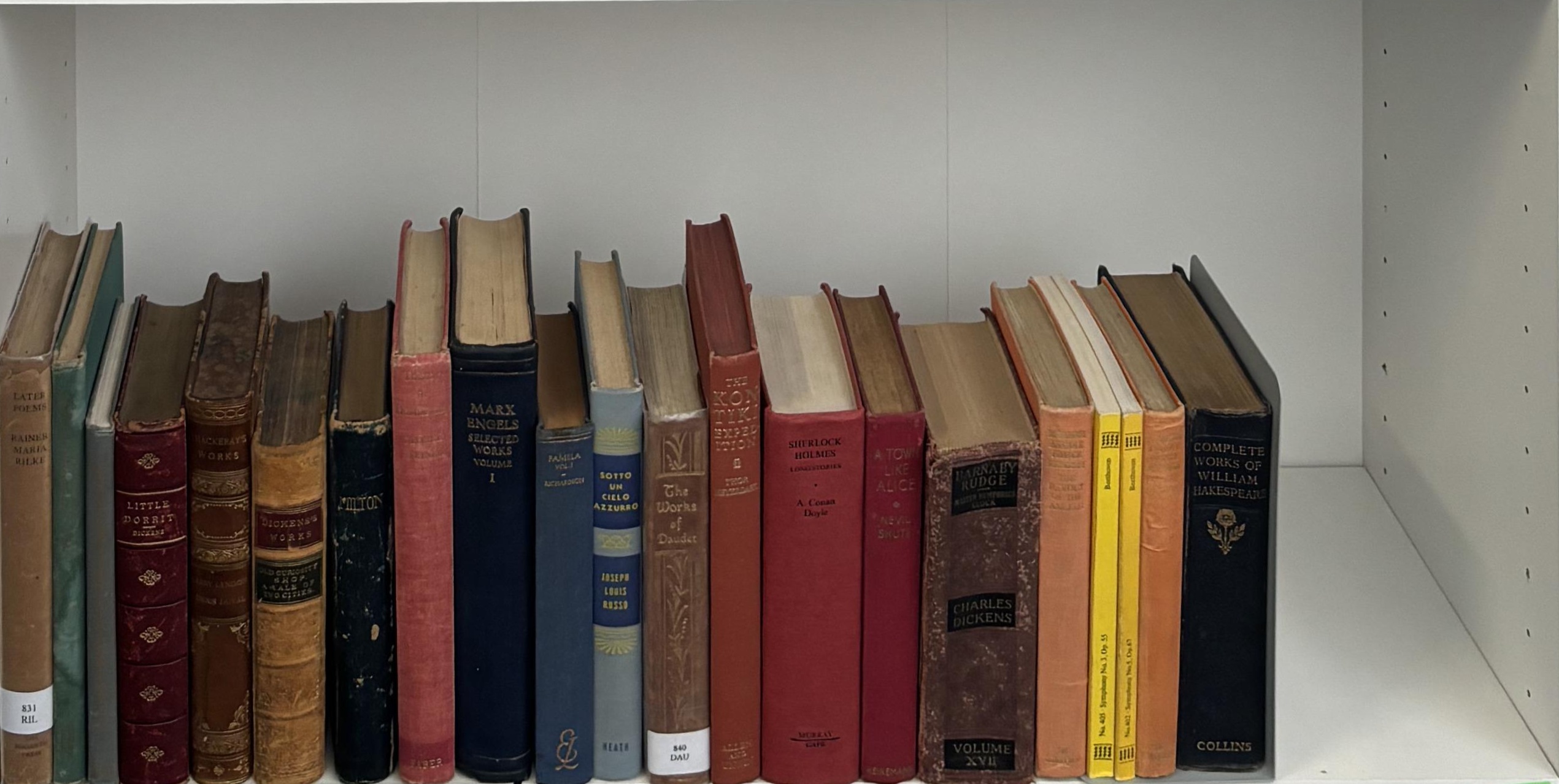 Shelf image