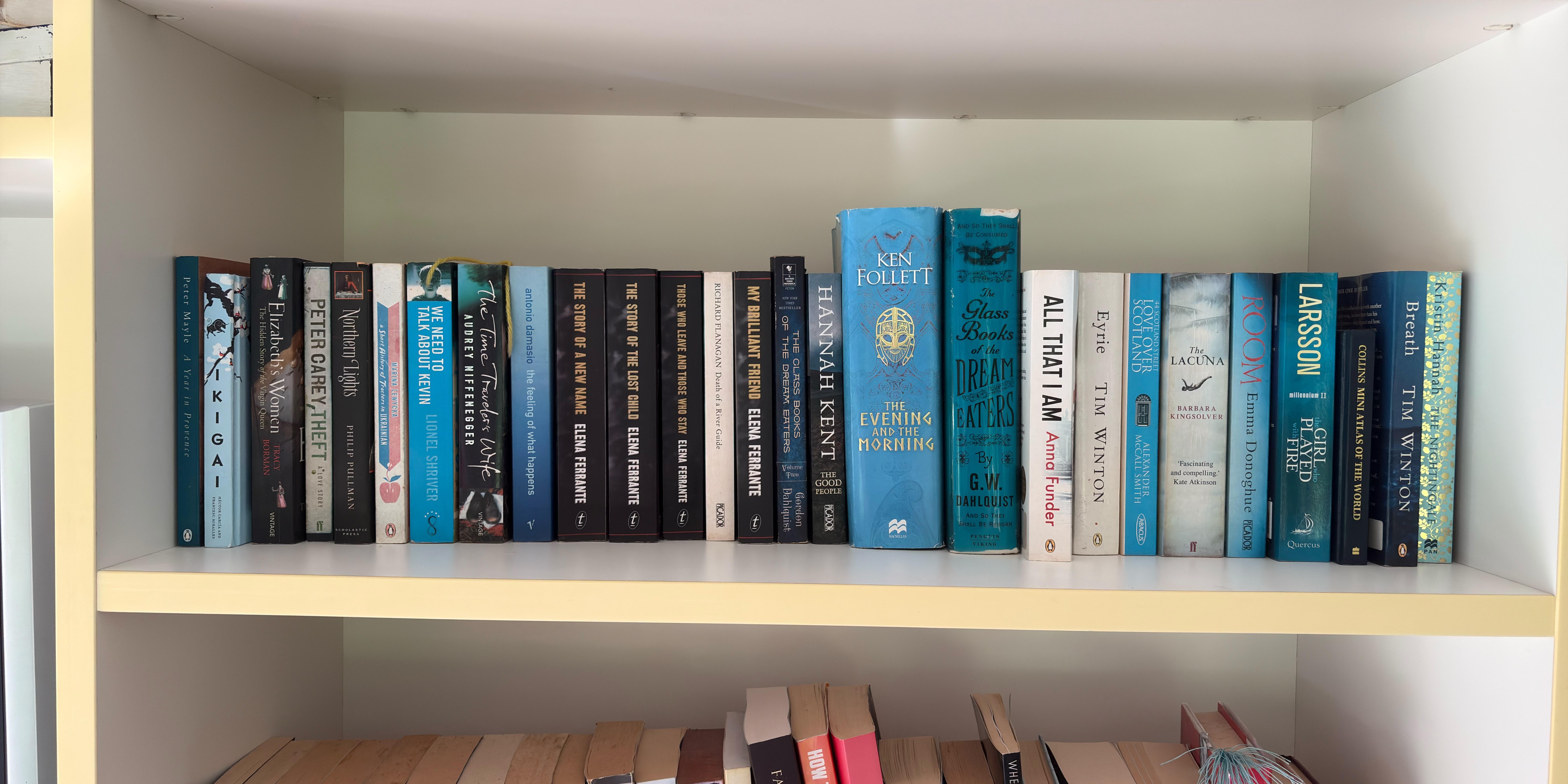 Shelf image