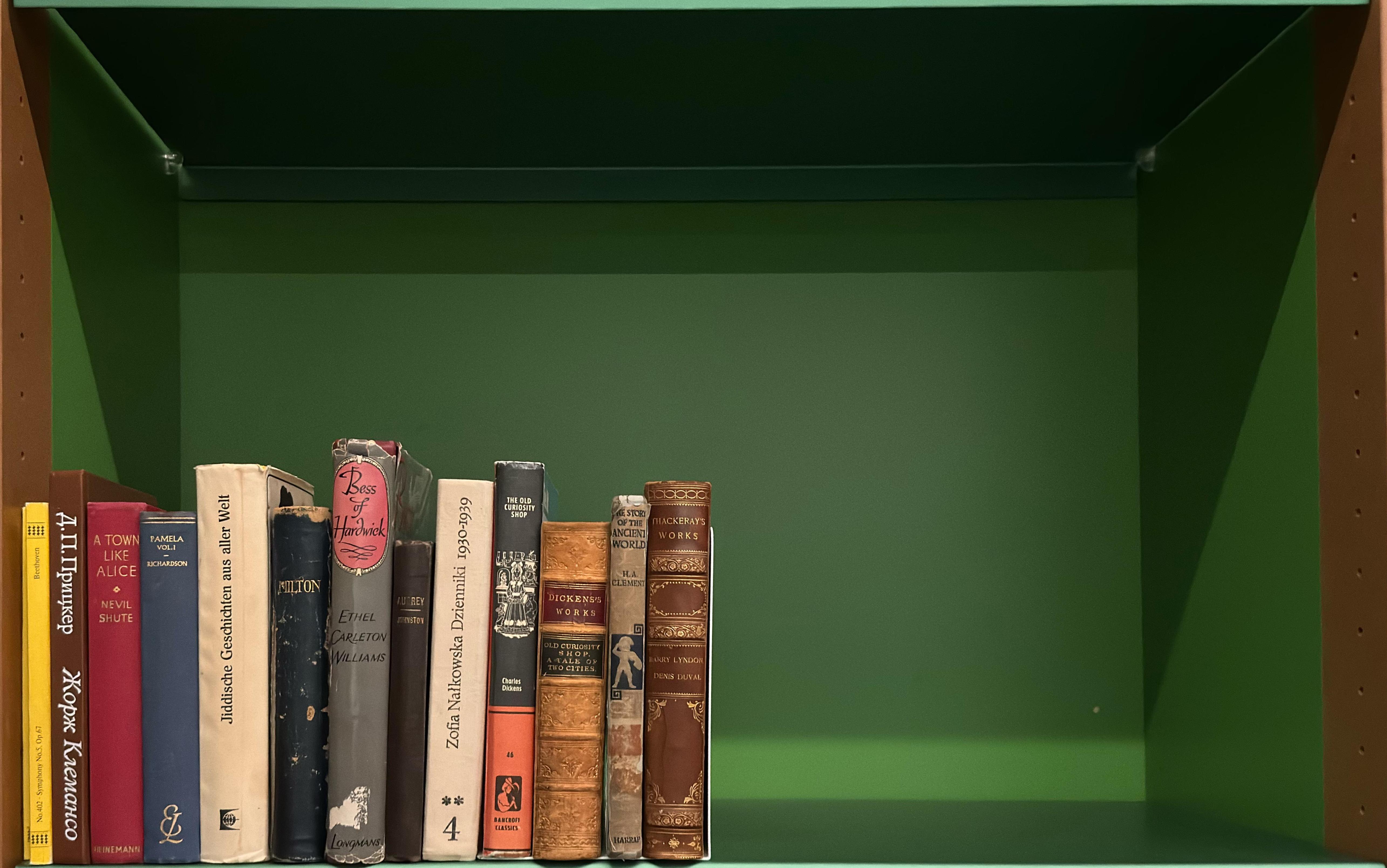 Shelf image