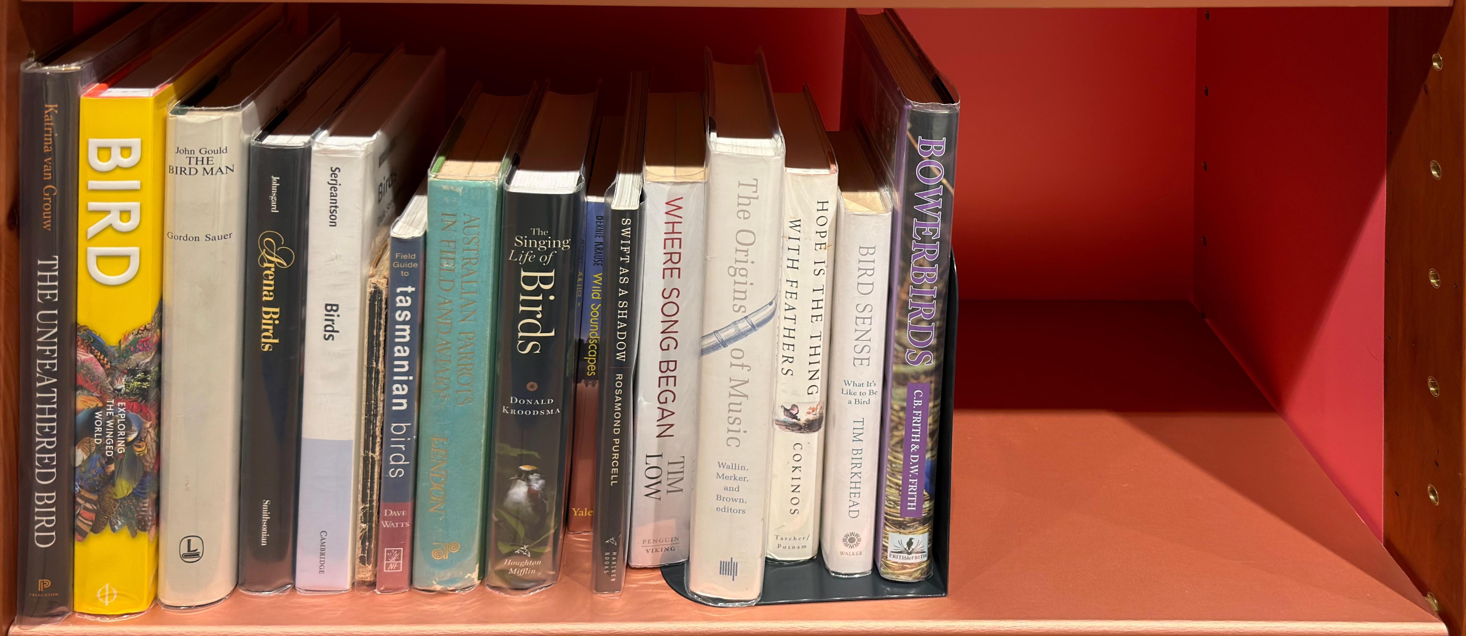 Shelf image