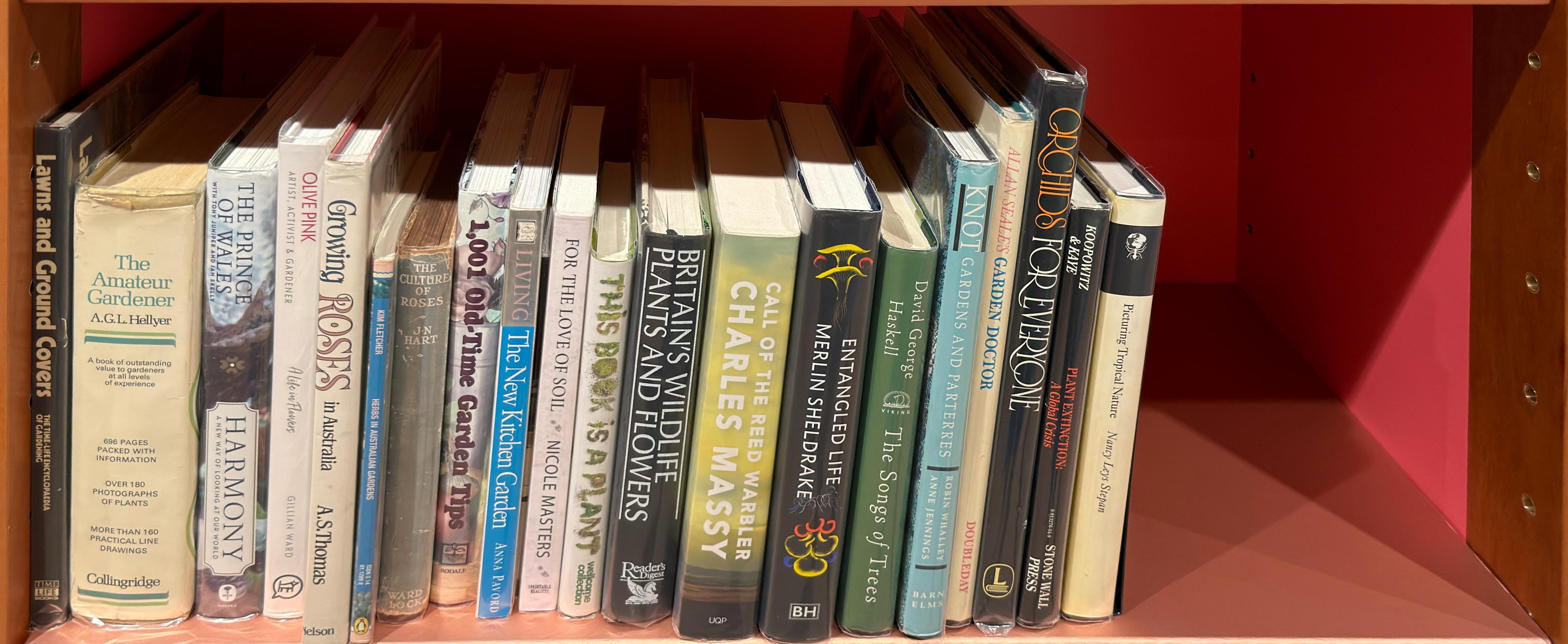 Shelf image
