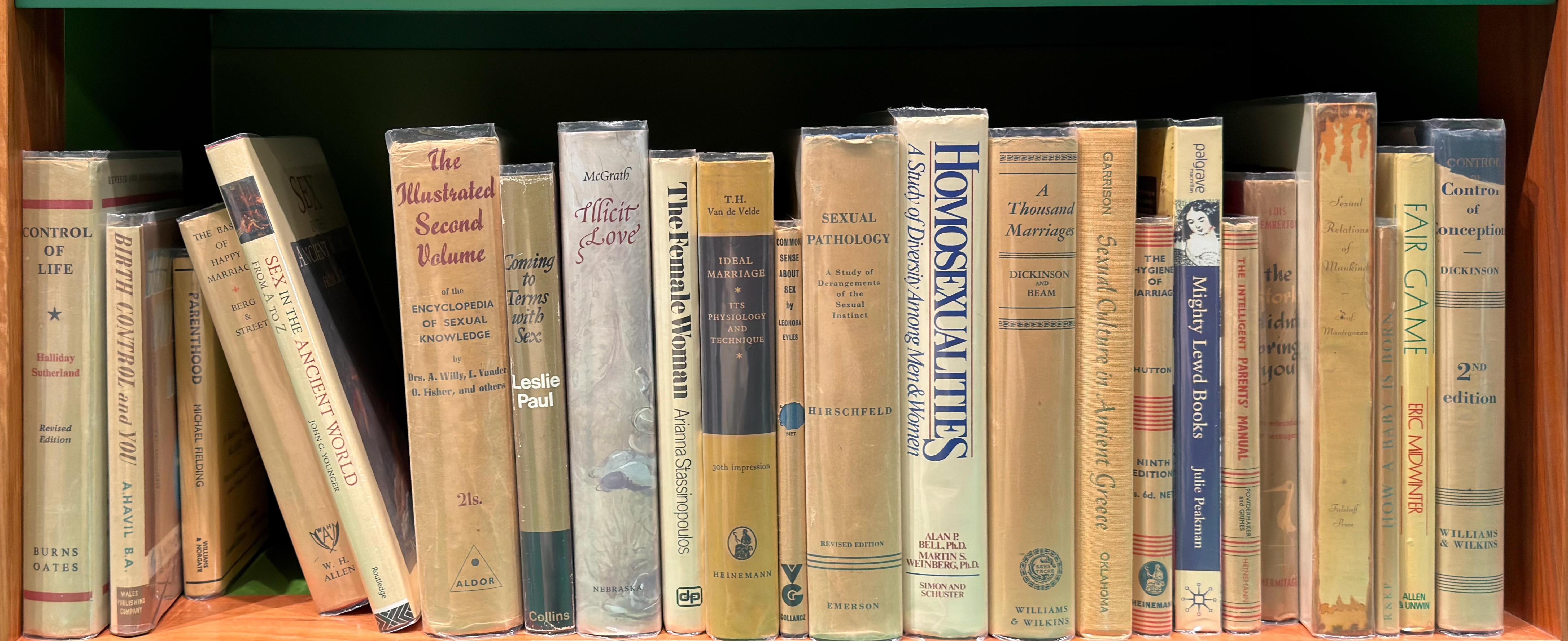 Shelf image