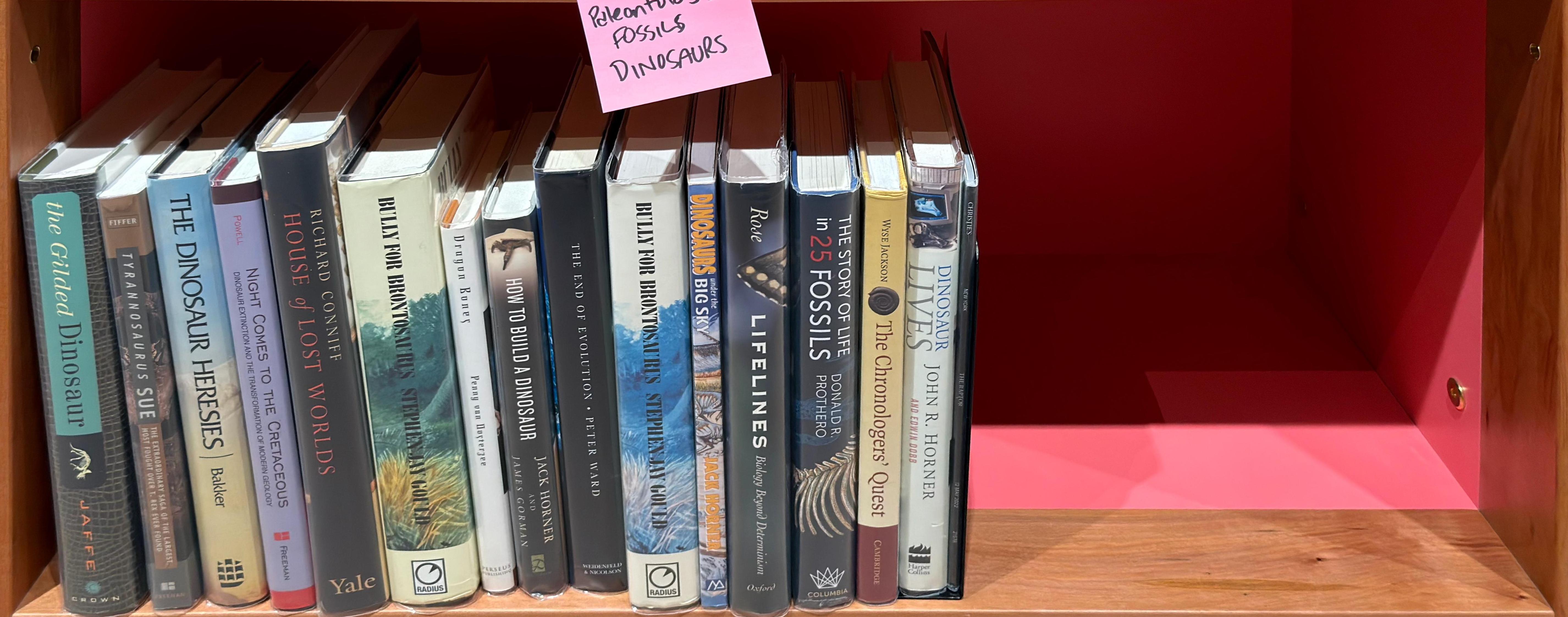 Shelf image