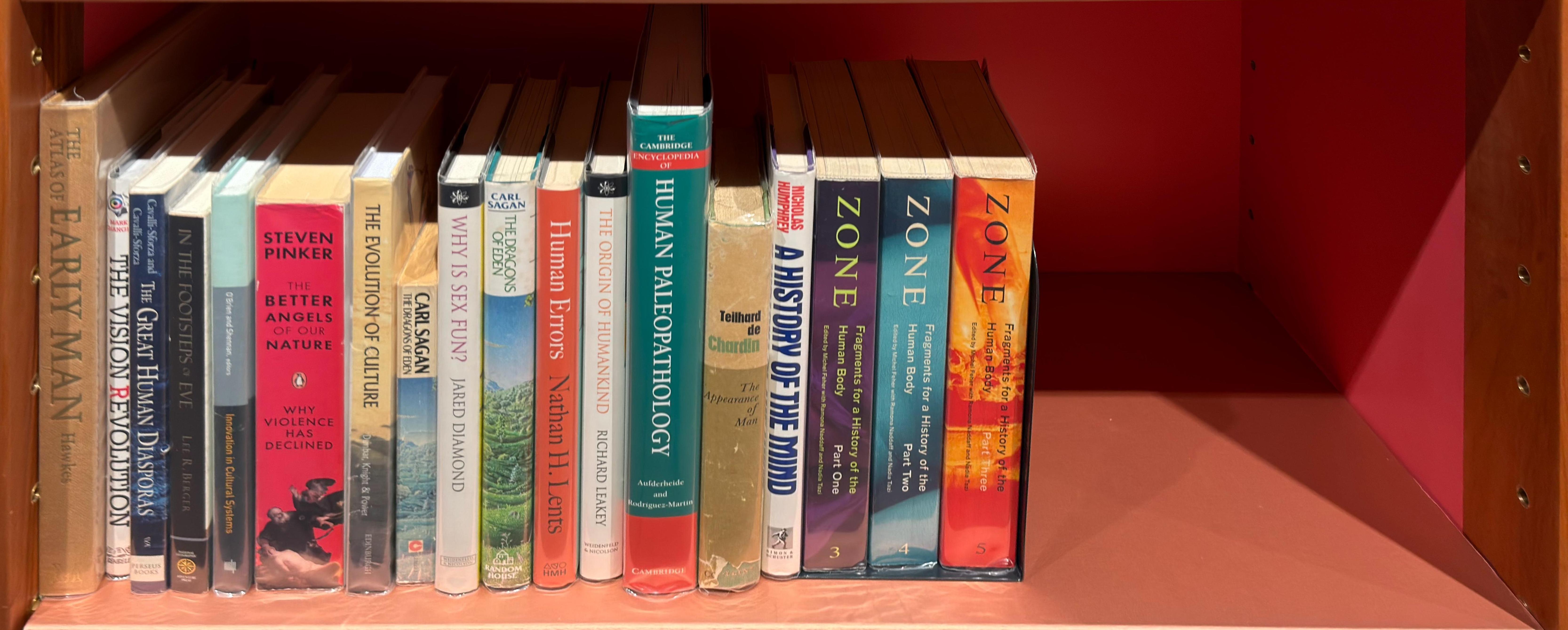 Shelf image
