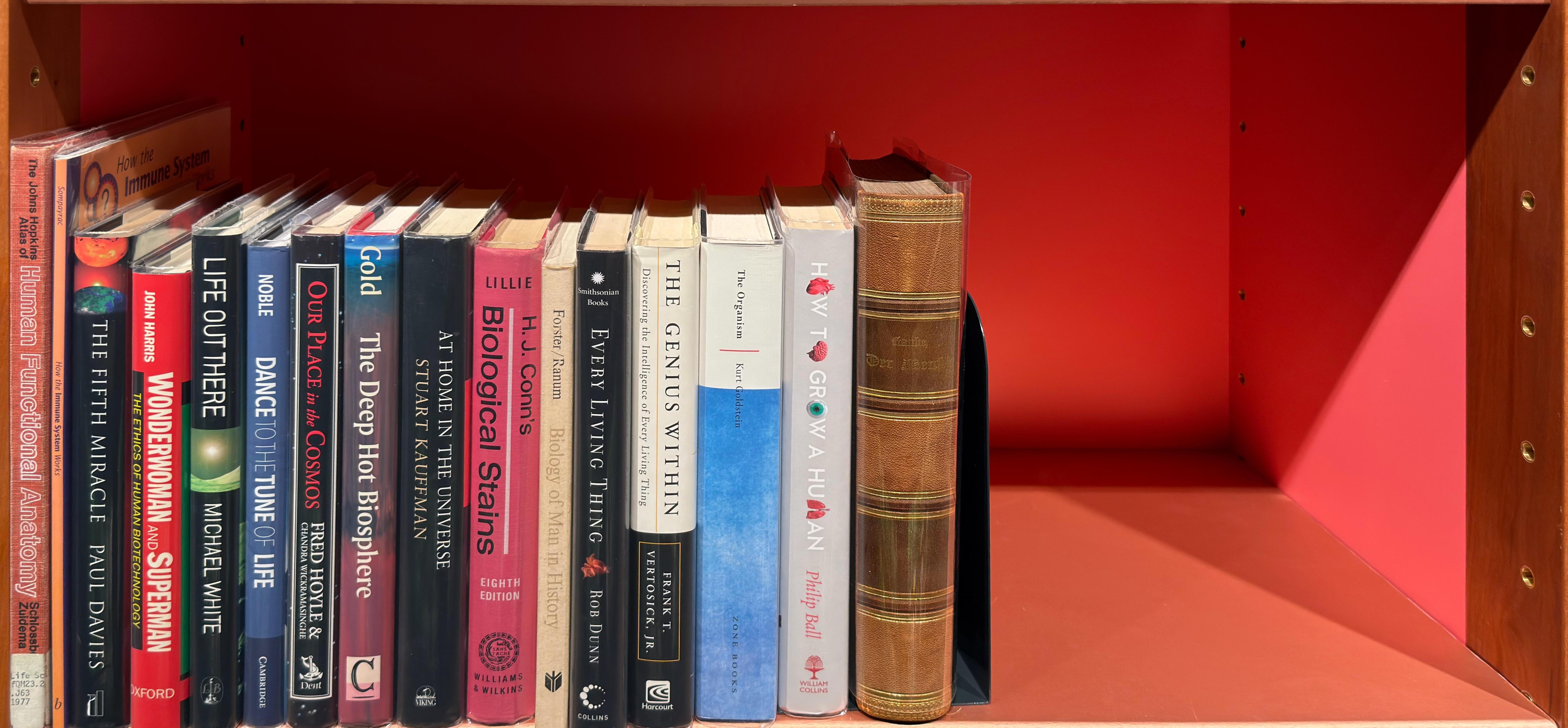 Shelf image