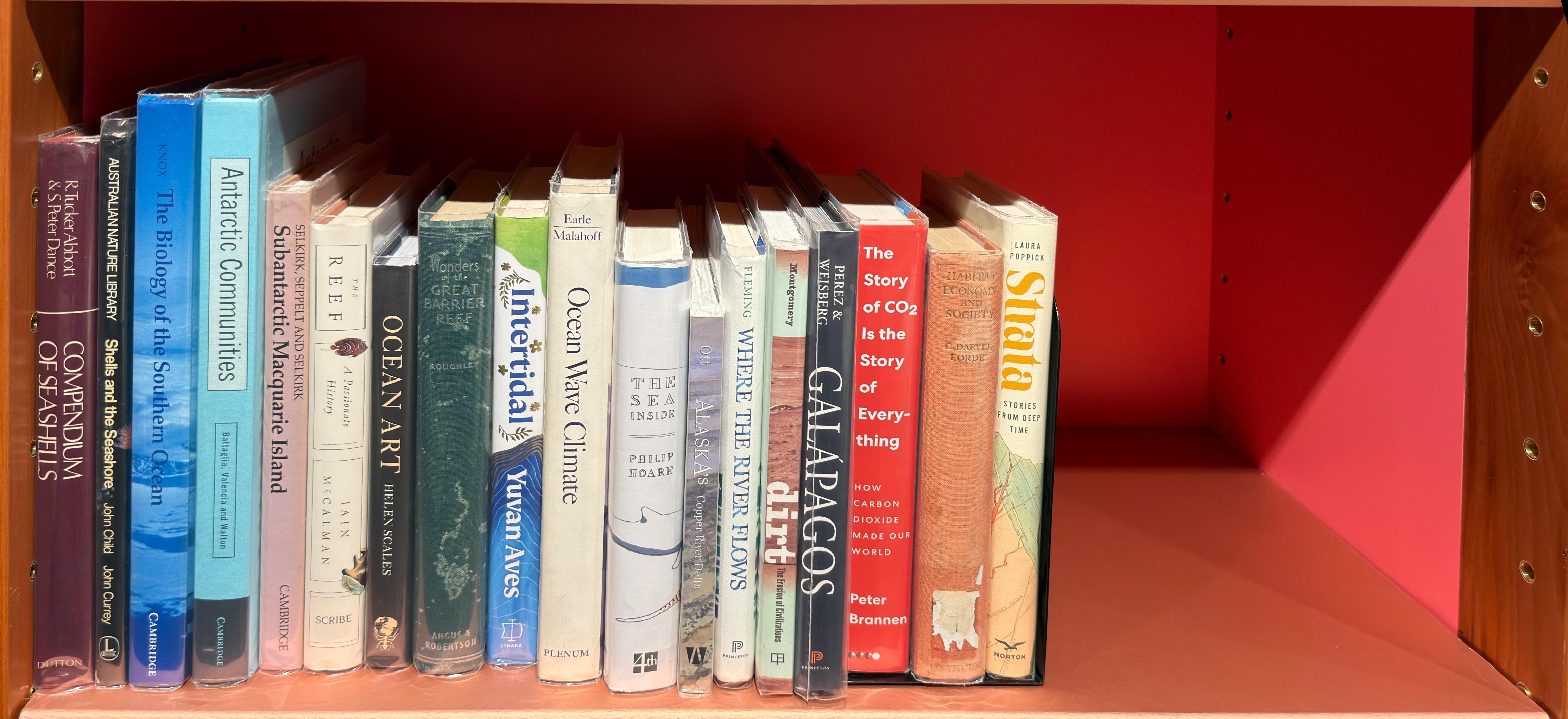 Shelf image