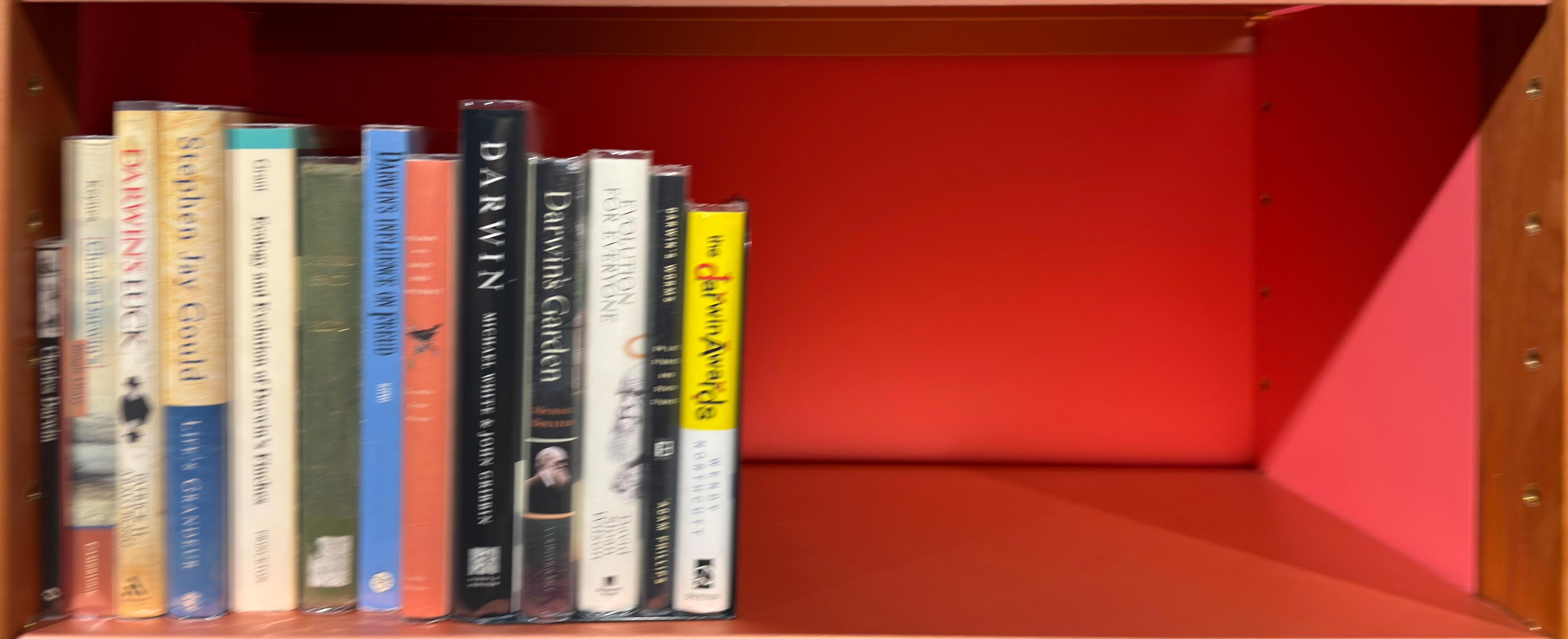 Shelf image