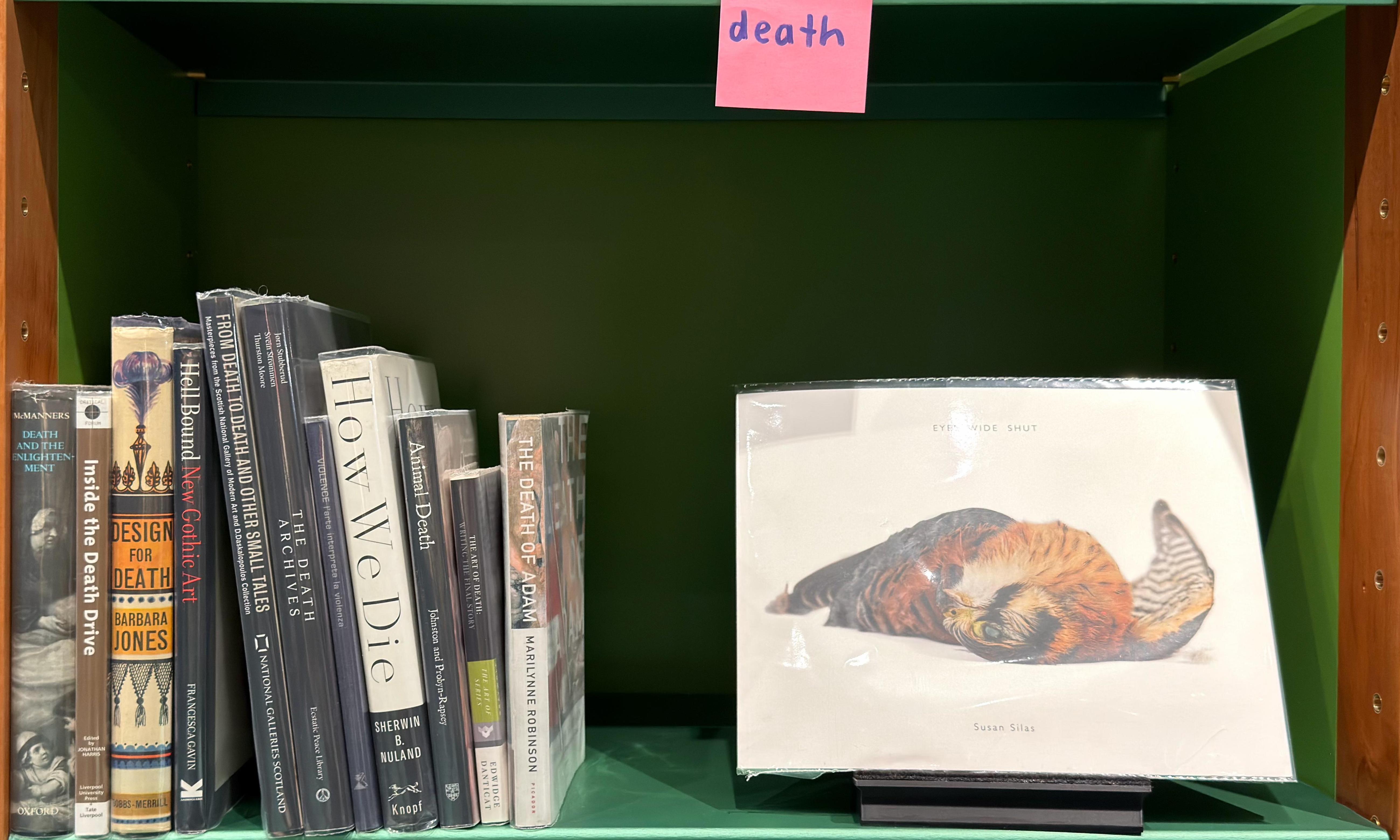 Shelf image