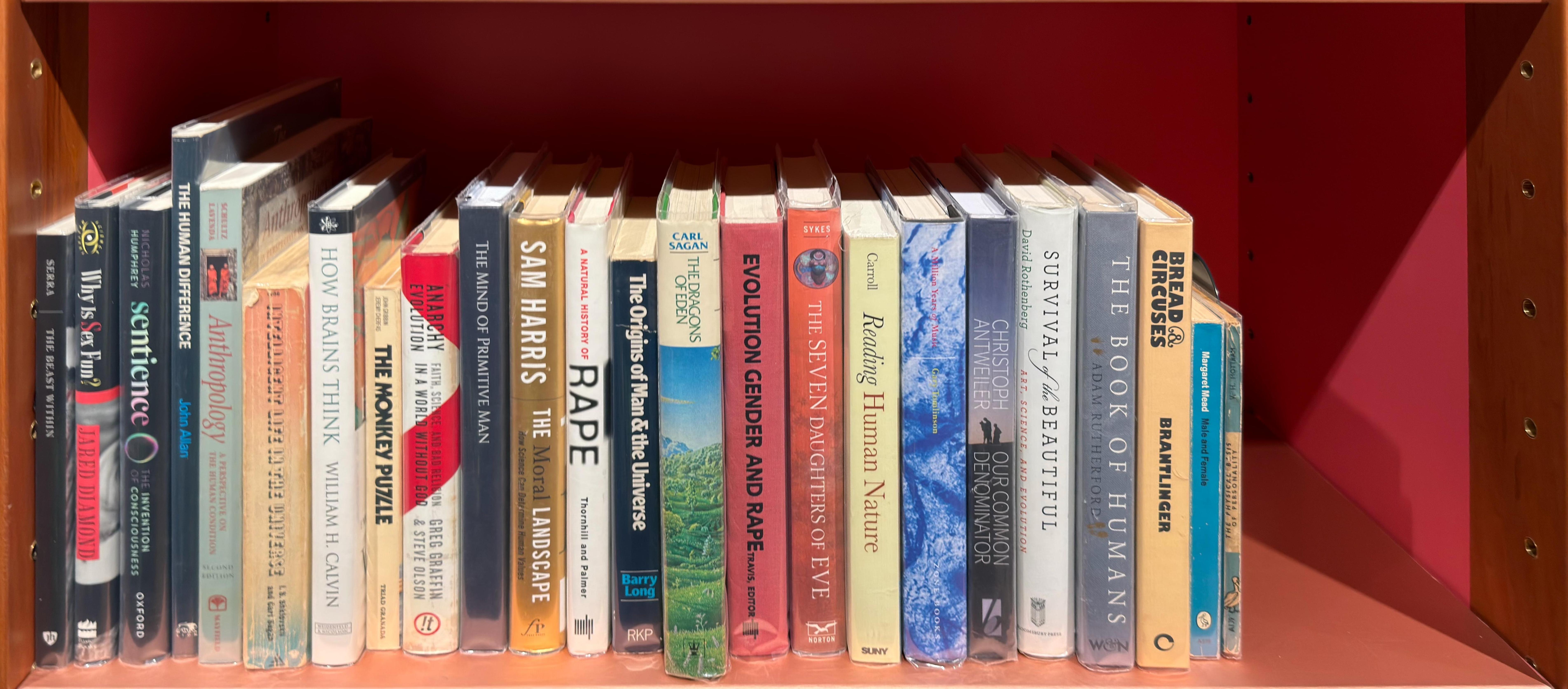 Shelf image