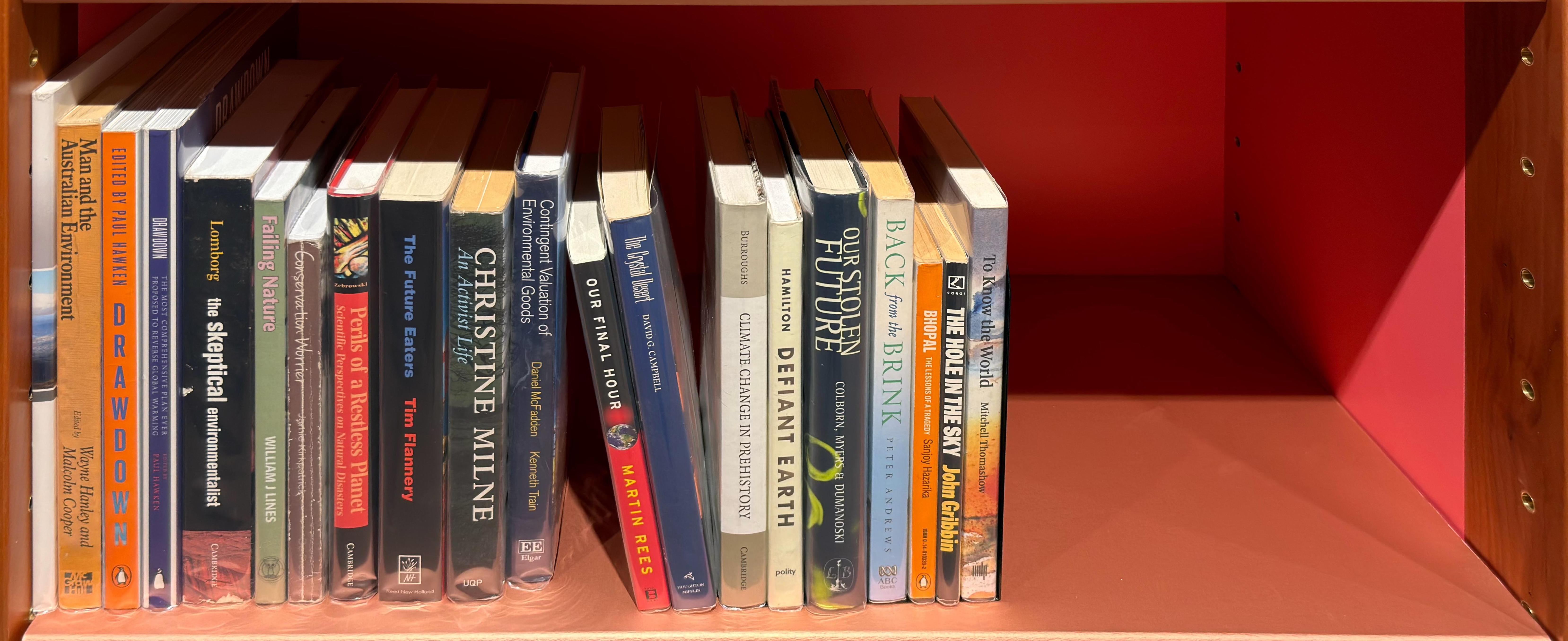 Shelf image