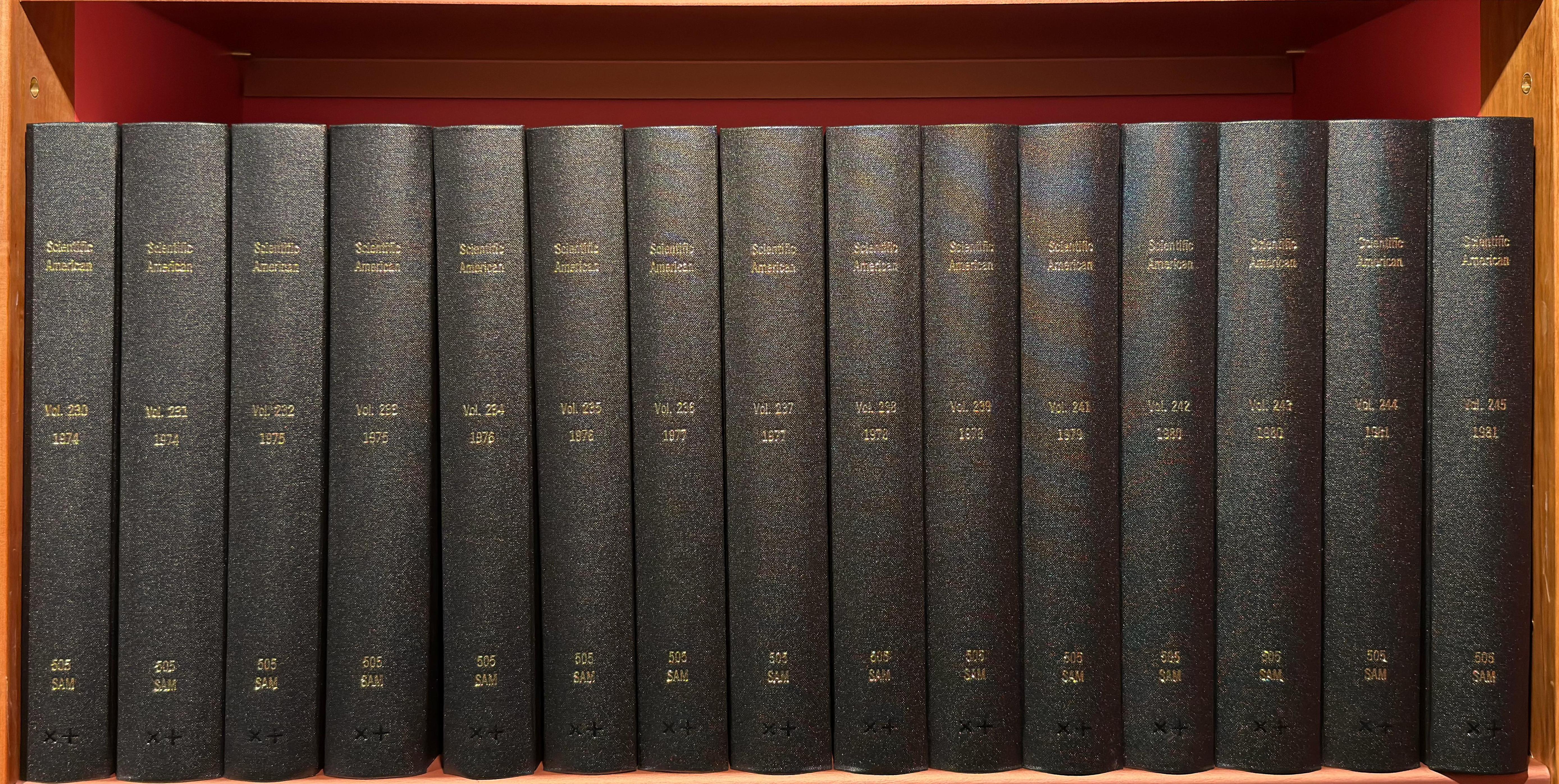 Shelf image