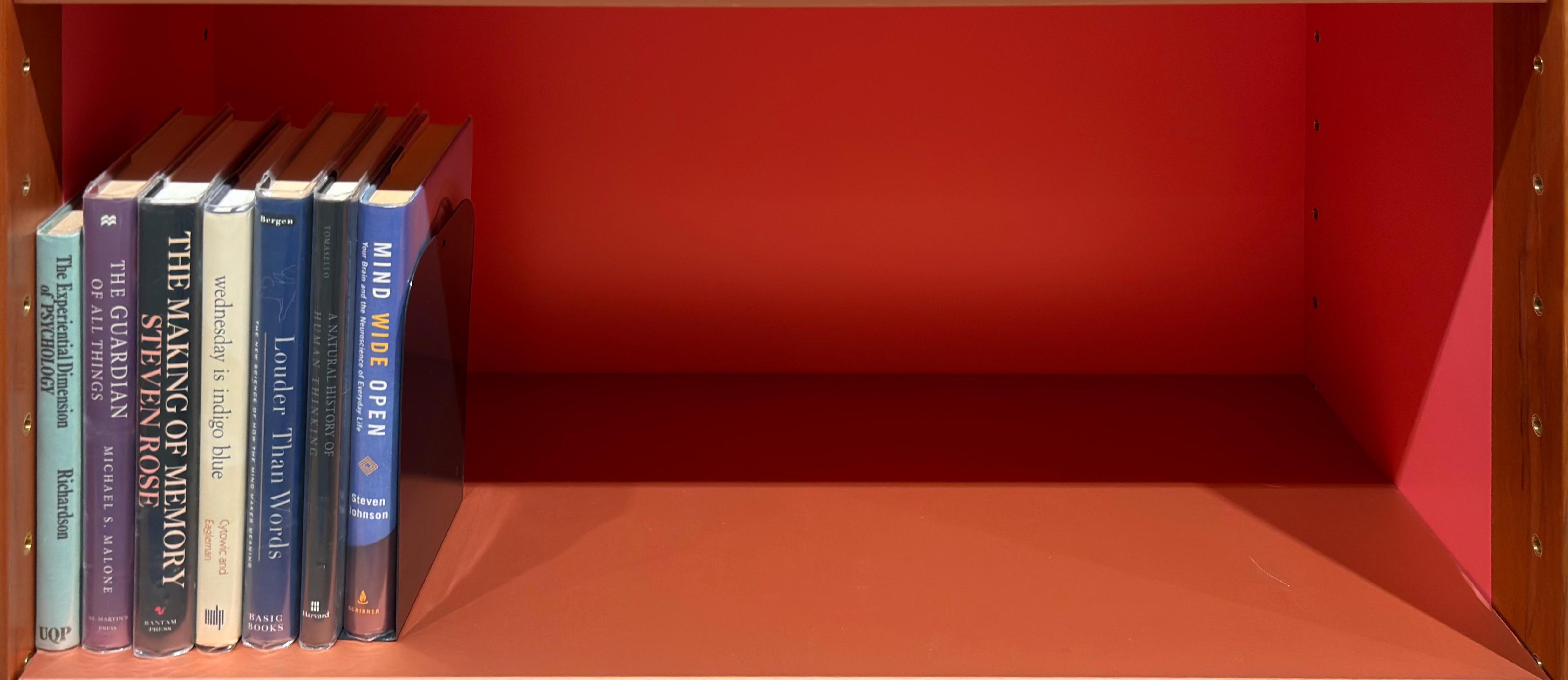 Shelf image