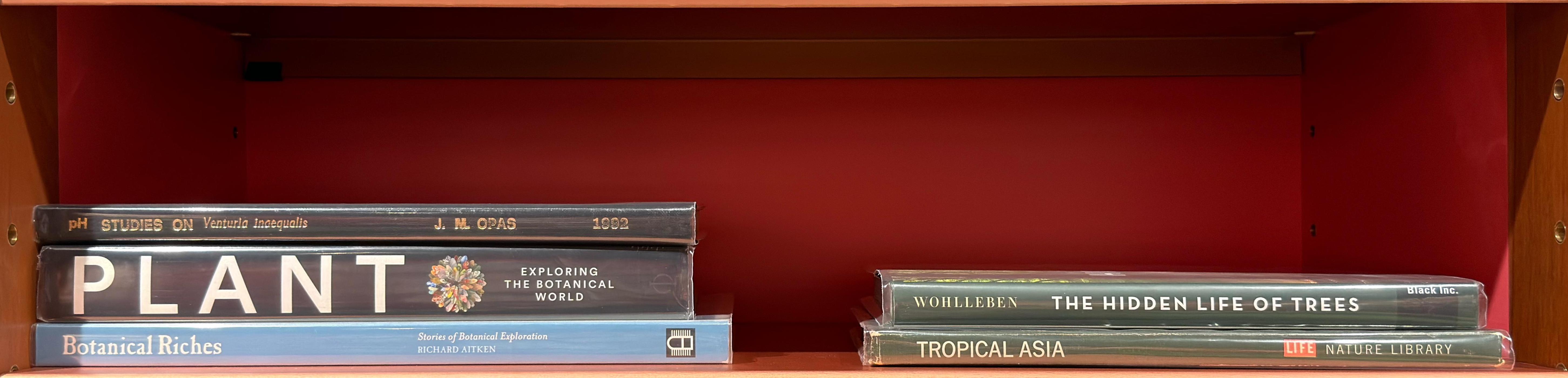 Shelf image