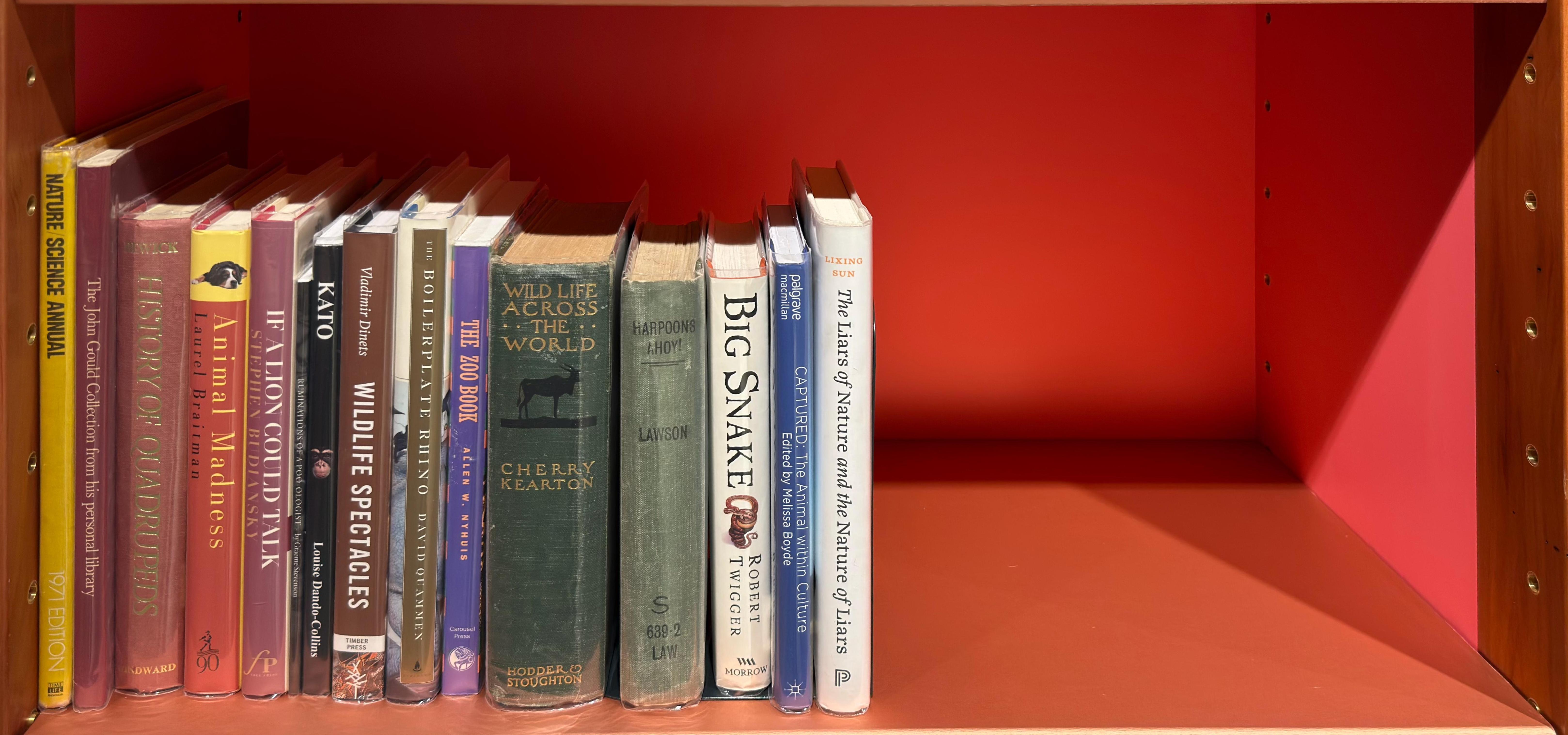 Shelf image