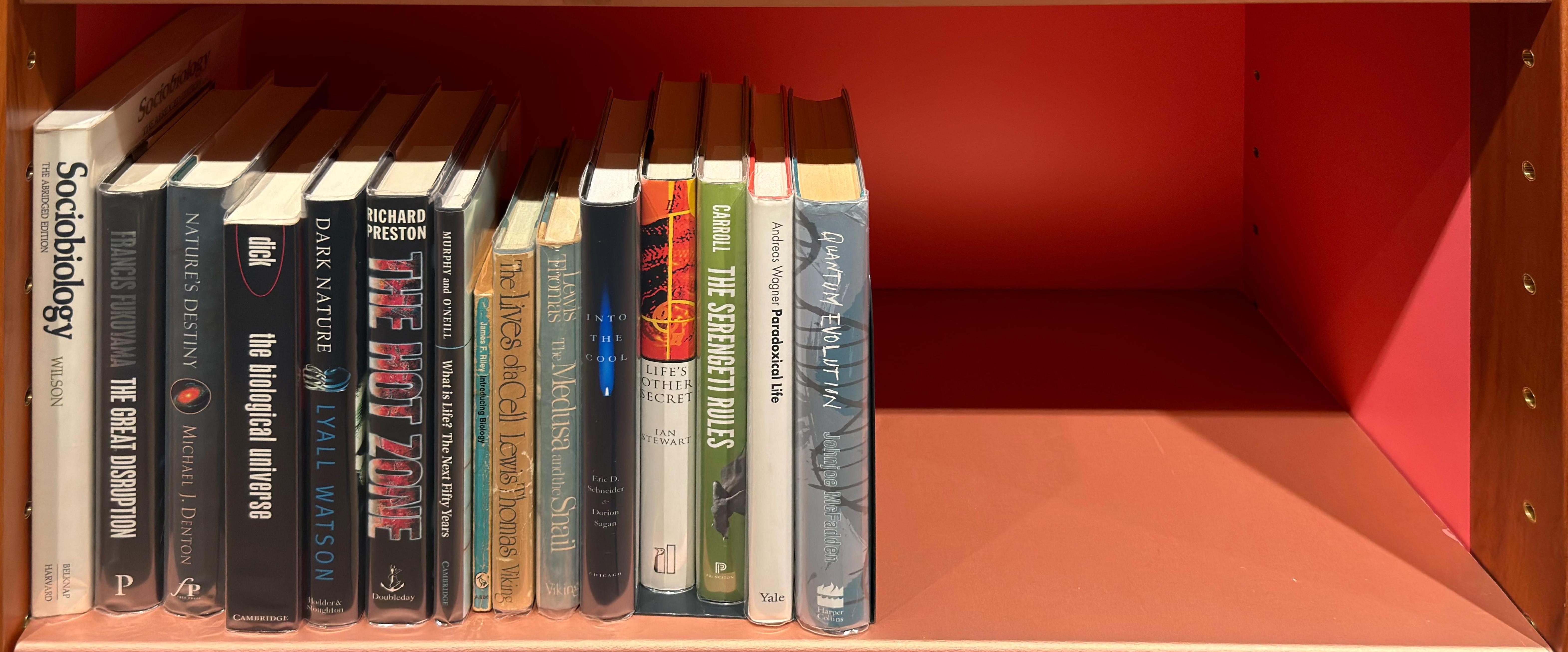 Shelf image