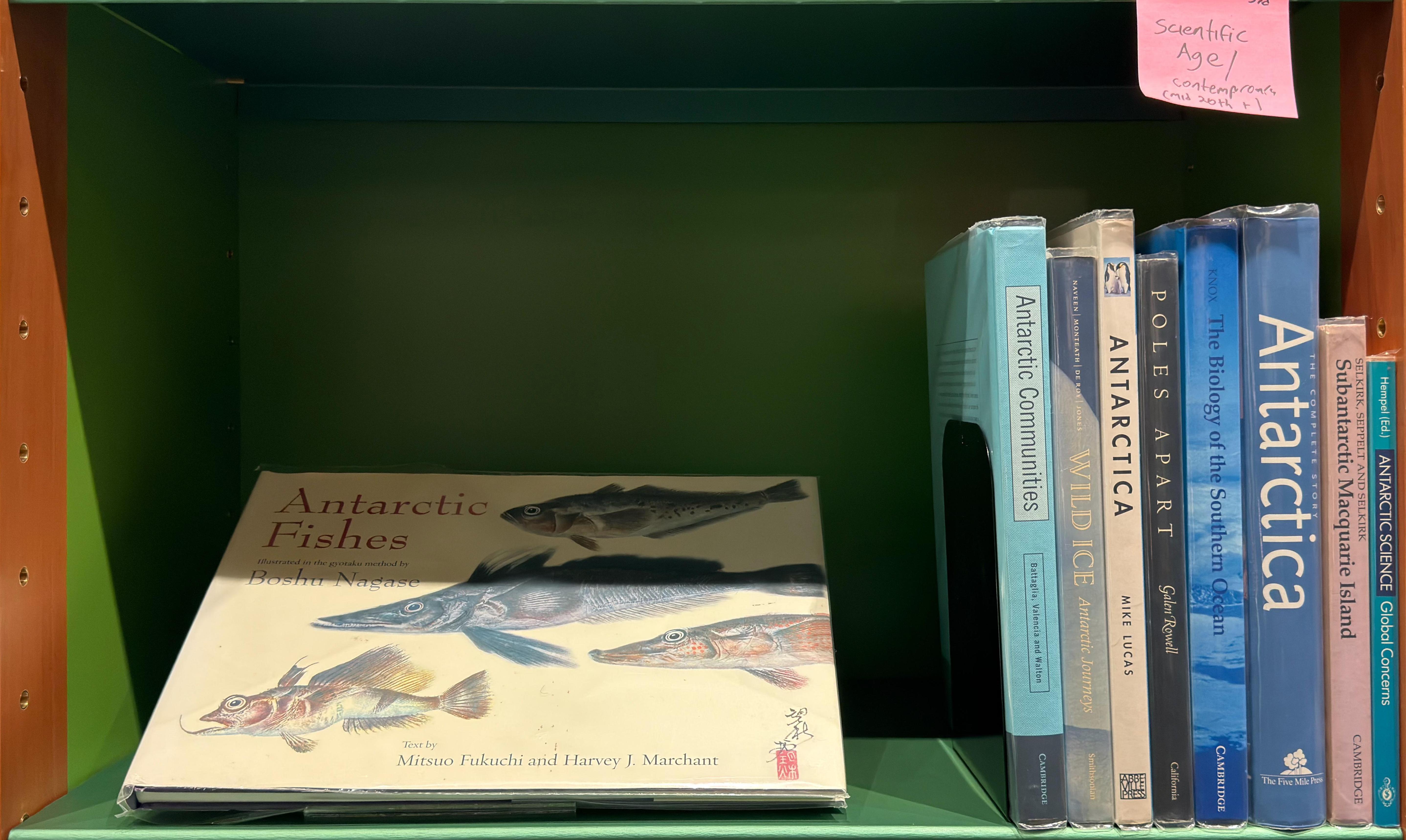 Shelf image