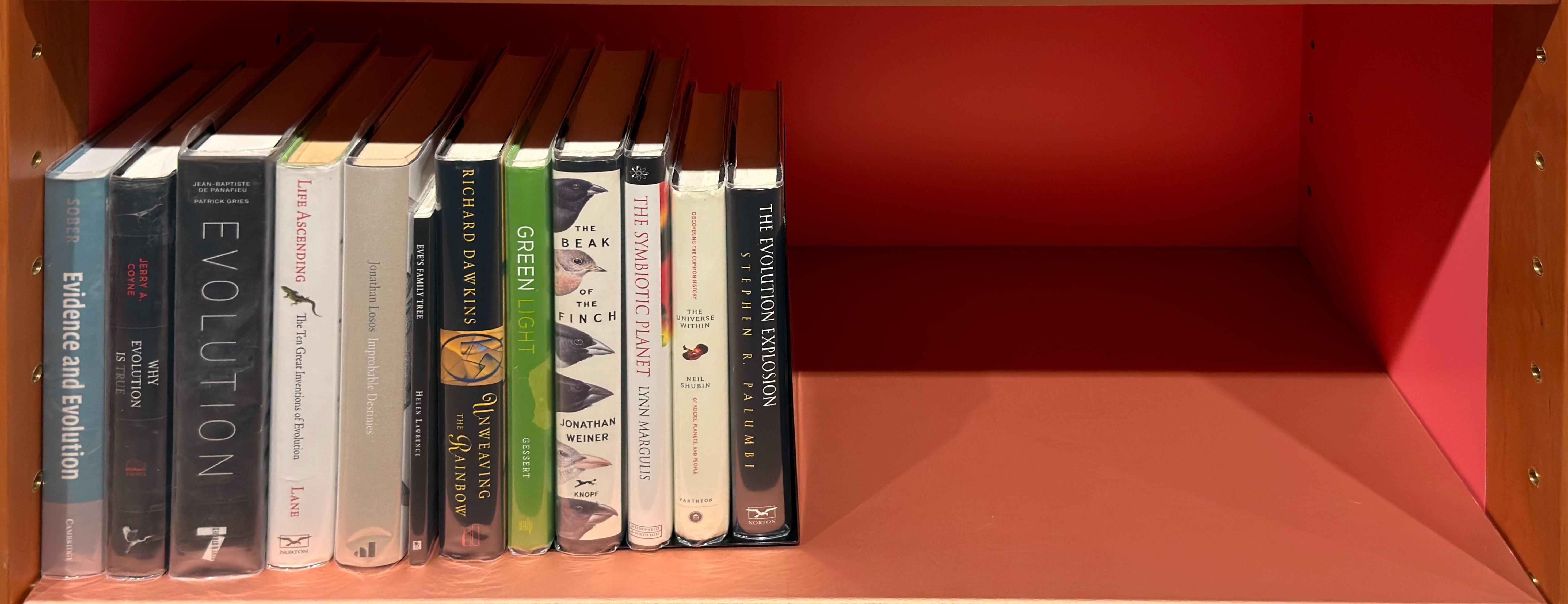 Shelf image