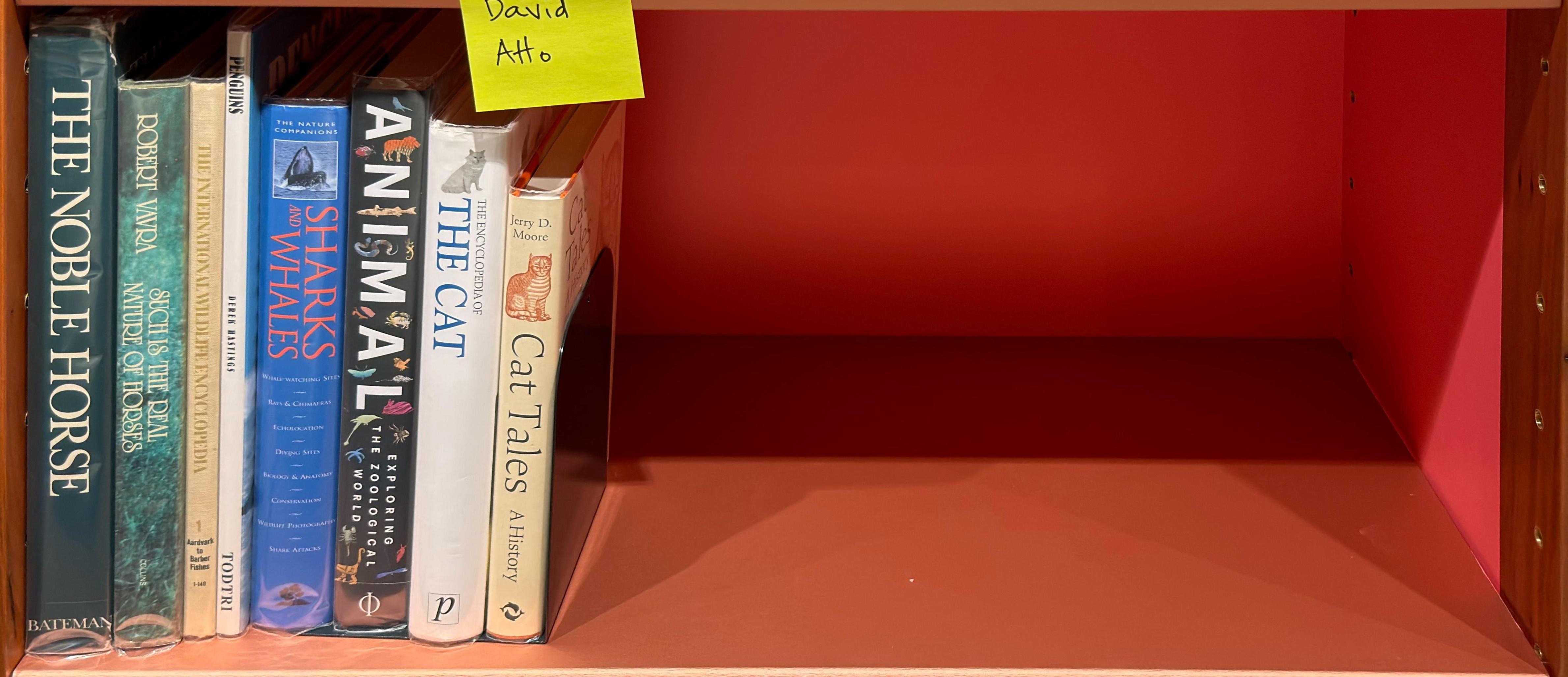 Shelf image