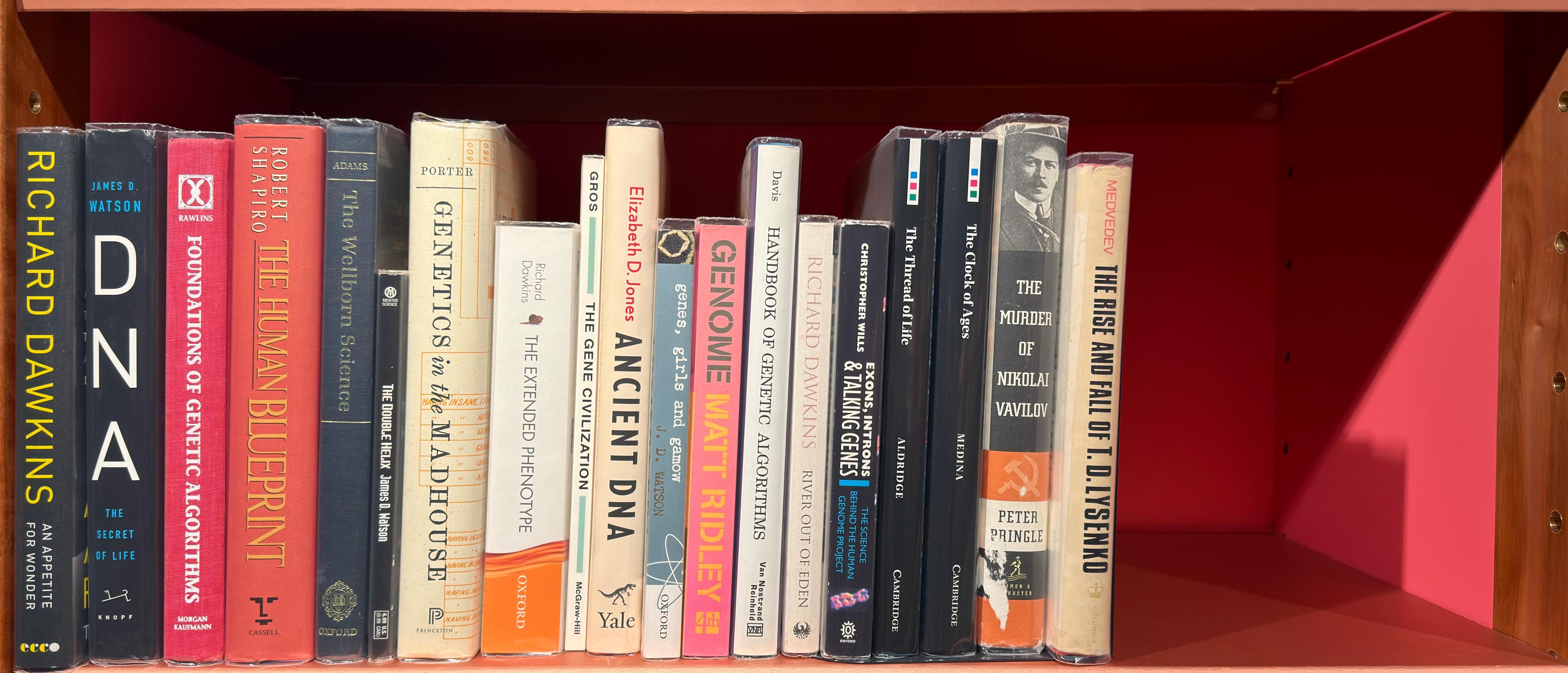 Shelf image