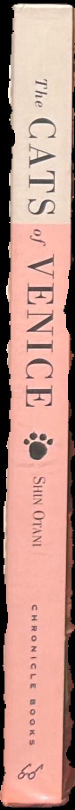 The cats of Venice spine
