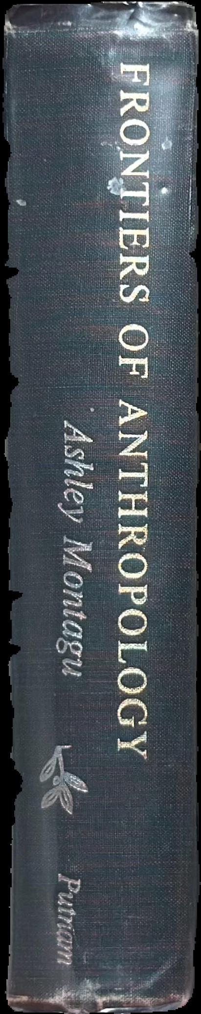 Frontiers of anthropology spine